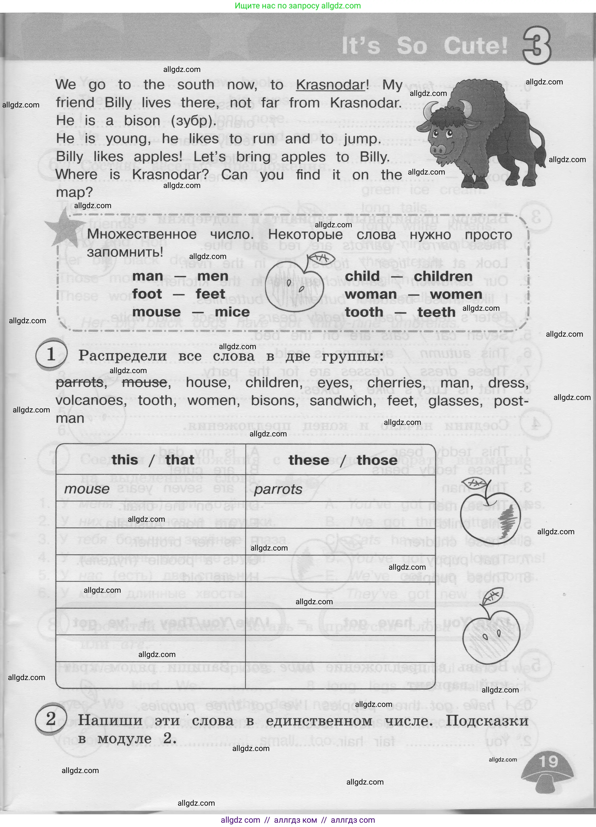 Английский язык (english), 3 класс сборник грамматических упражнений, автор: Рязанцева Светлана Борисовна, издательство Просвещение, Москва, 2024, белого цвета, страница 19