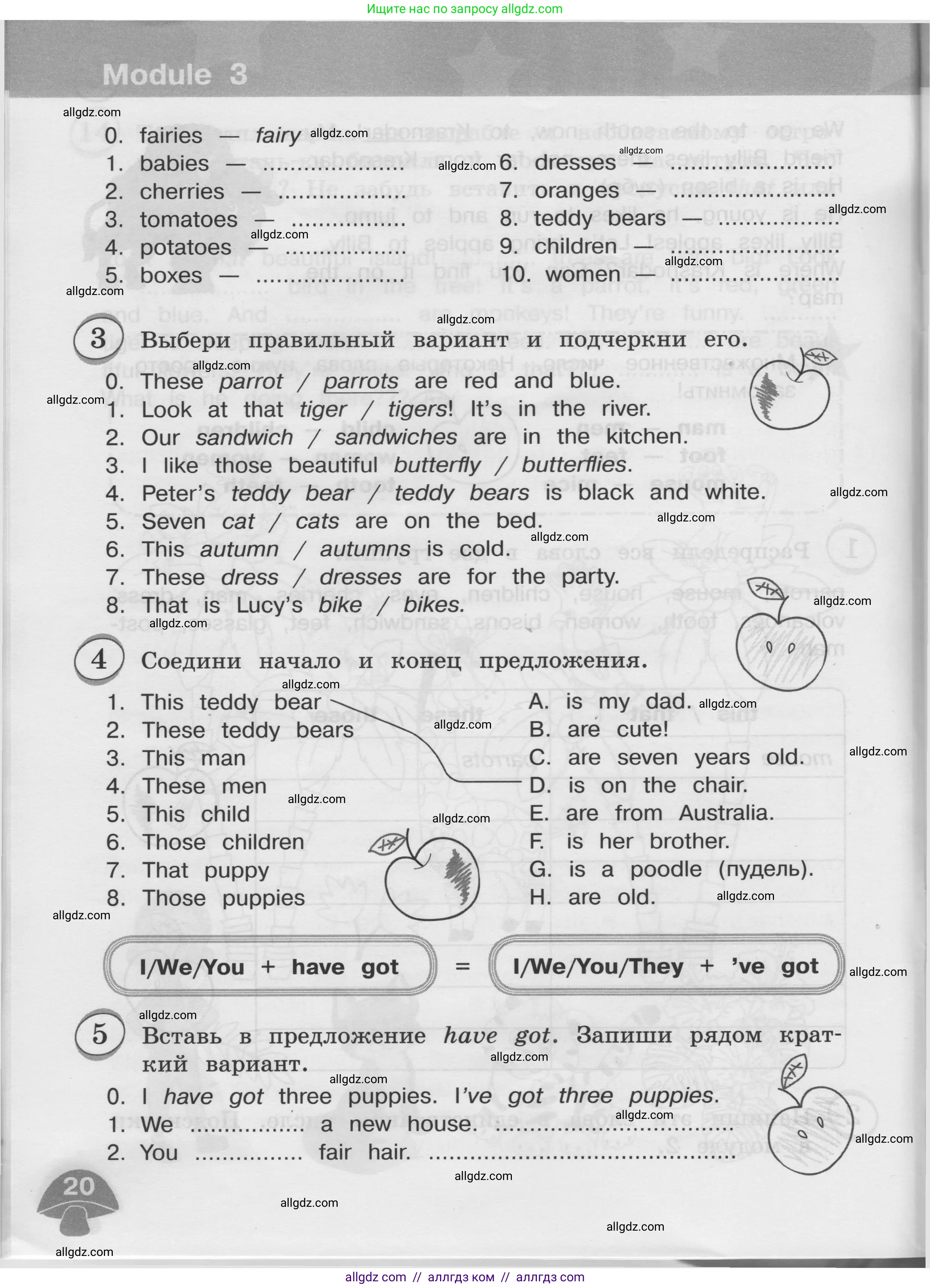 Английский язык (english), 3 класс сборник грамматических упражнений, автор: Рязанцева Светлана Борисовна, издательство Просвещение, Москва, 2024, белого цвета, страница 20