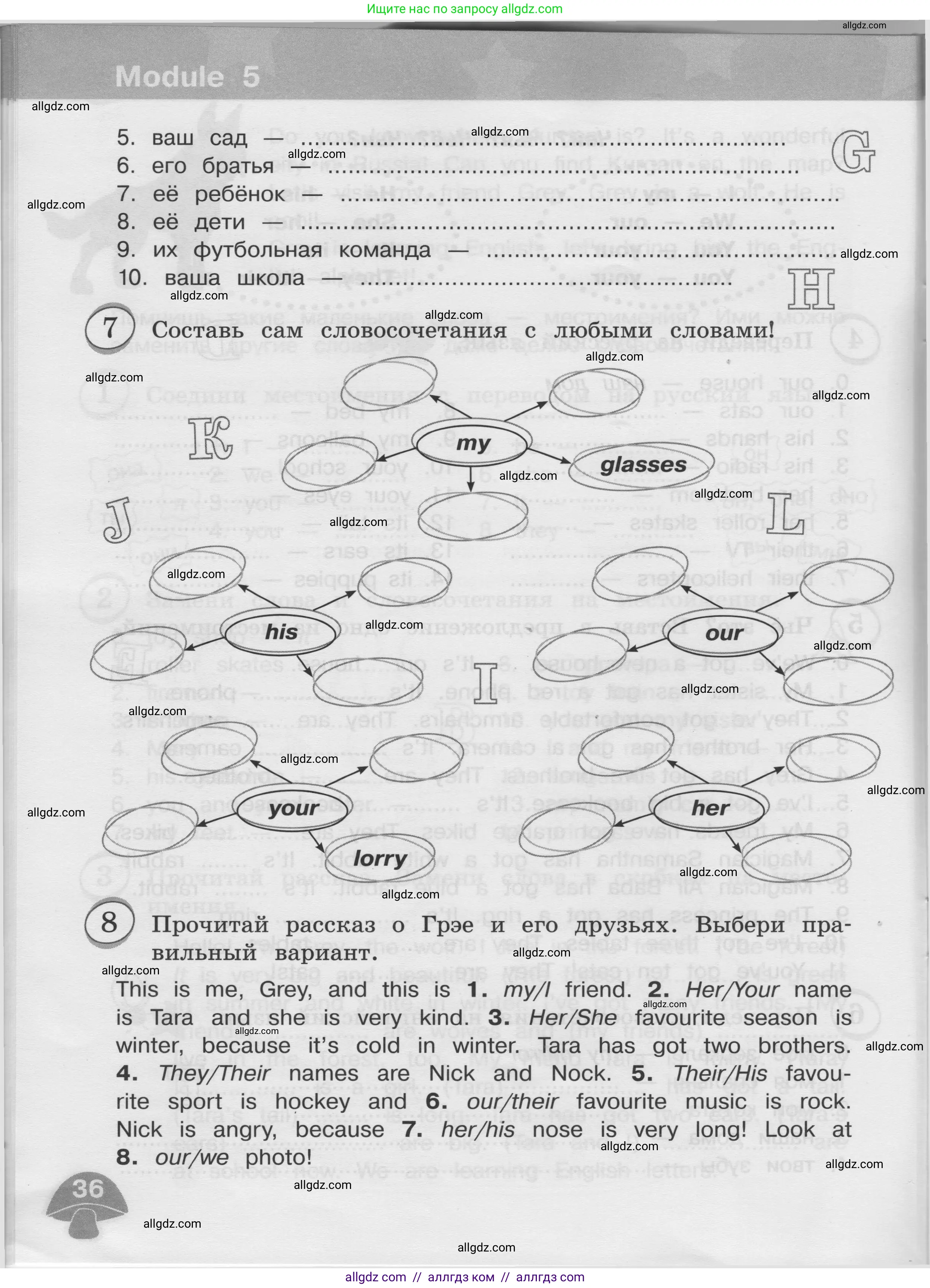 Английский язык (english), 3 класс сборник грамматических упражнений, автор: Рязанцева Светлана Борисовна, издательство Просвещение, Москва, 2024, белого цвета, страница 36