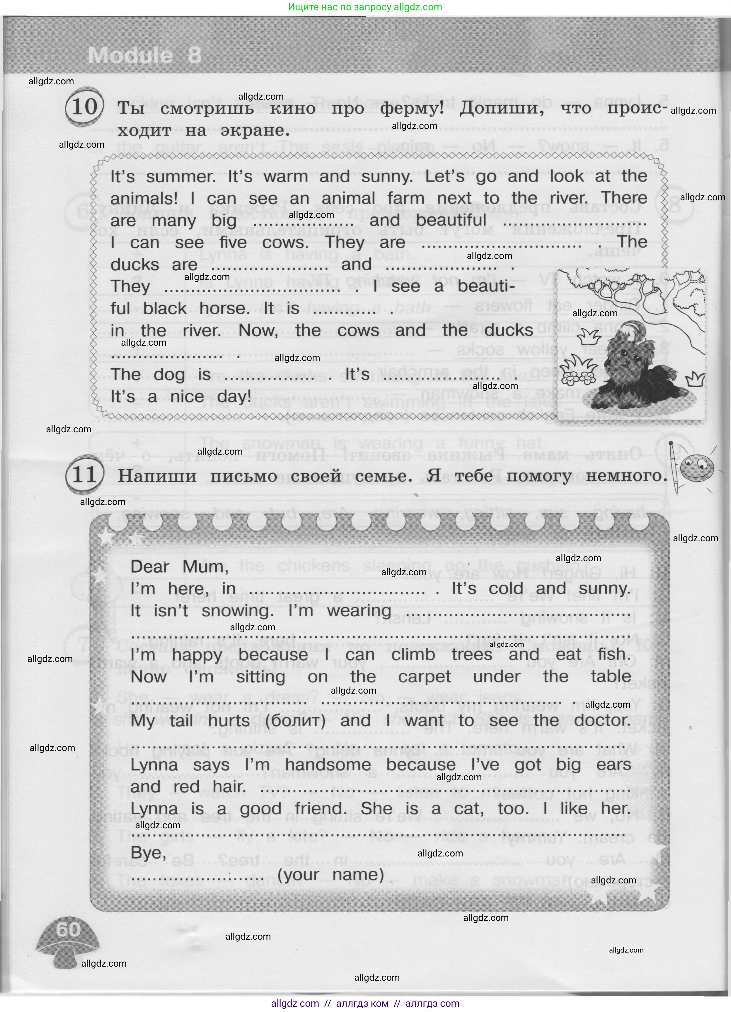 Английский язык (english), 3 класс сборник грамматических упражнений, автор: Рязанцева Светлана Борисовна, издательство Просвещение, Москва, 2024, белого цвета, страница 60