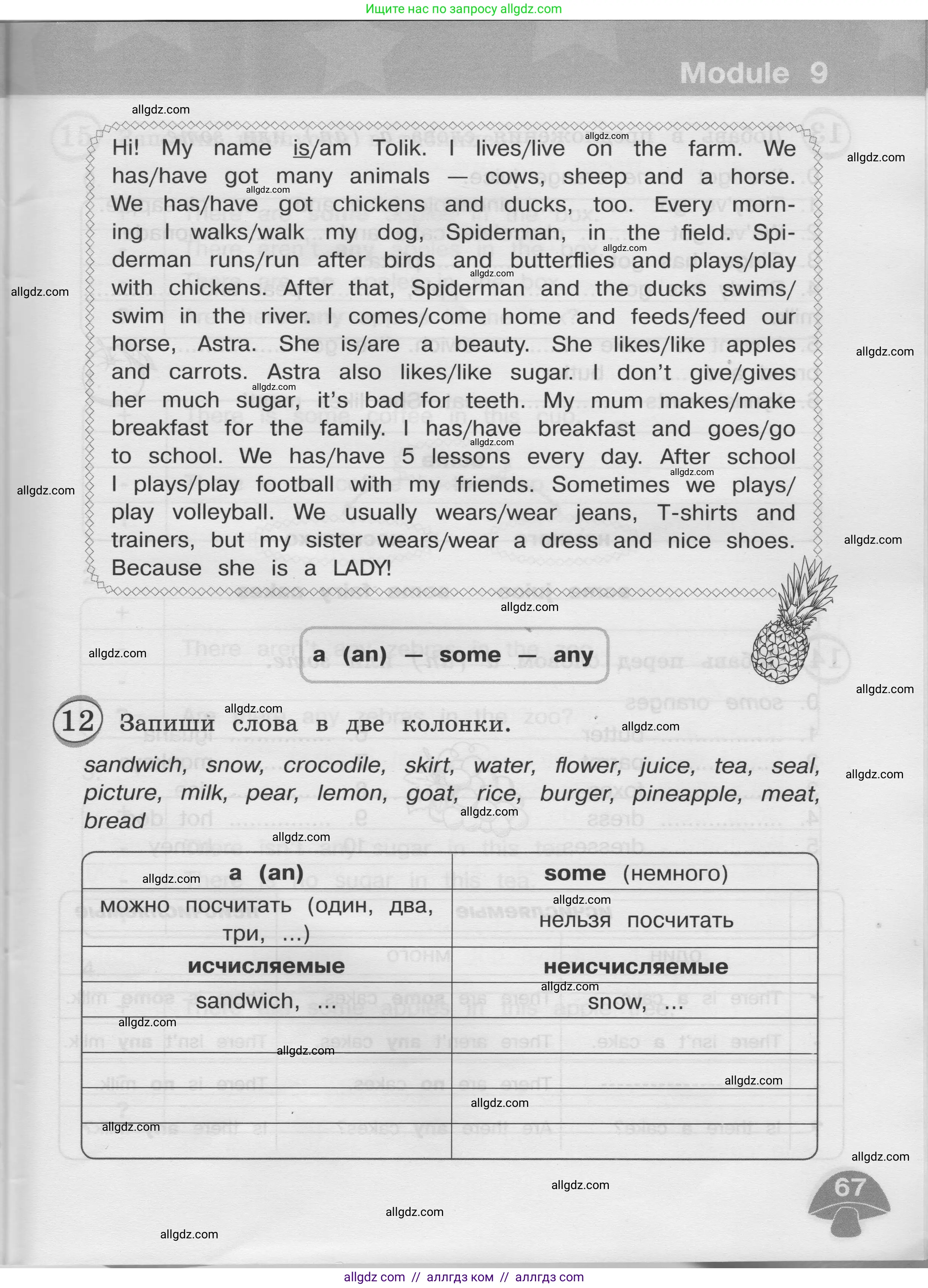 Английский язык (english), 3 класс сборник грамматических упражнений, автор: Рязанцева Светлана Борисовна, издательство Просвещение, Москва, 2024, белого цвета, страница 67