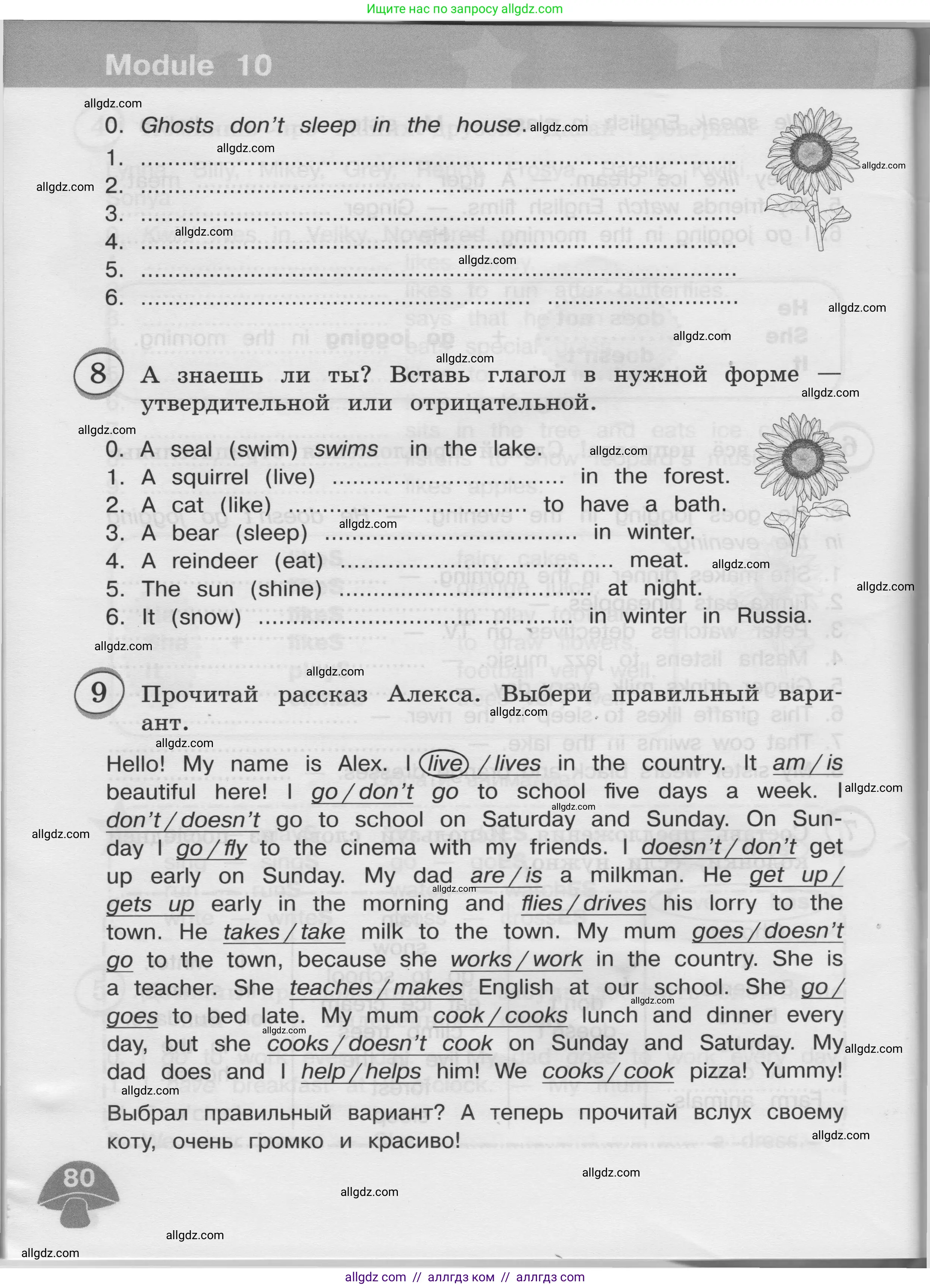 Английский язык (english), 3 класс сборник грамматических упражнений, автор: Рязанцева Светлана Борисовна, издательство Просвещение, Москва, 2024, белого цвета, страница 80