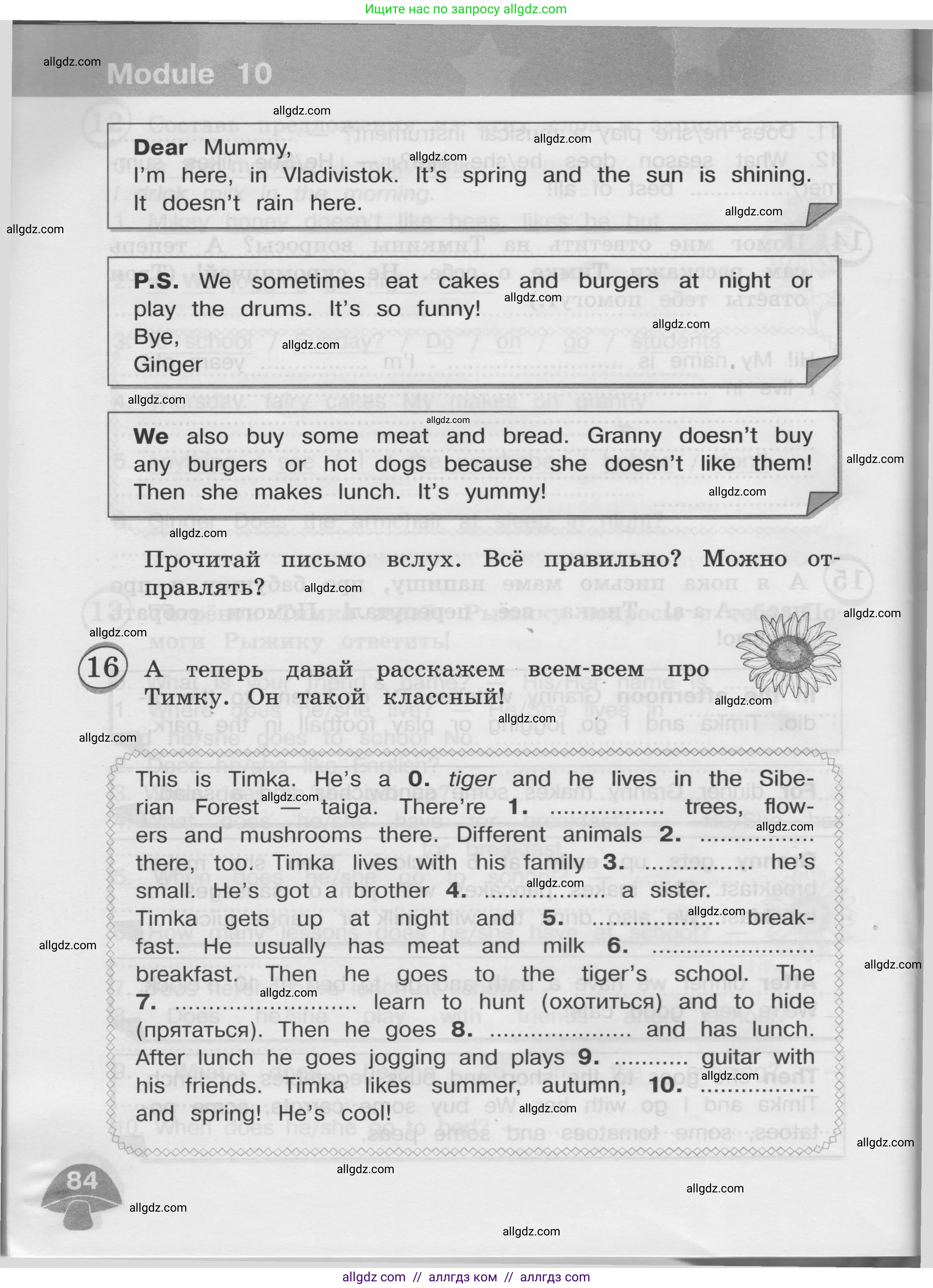 Английский язык (english), 3 класс сборник грамматических упражнений, автор: Рязанцева Светлана Борисовна, издательство Просвещение, Москва, 2024, белого цвета, страница 84