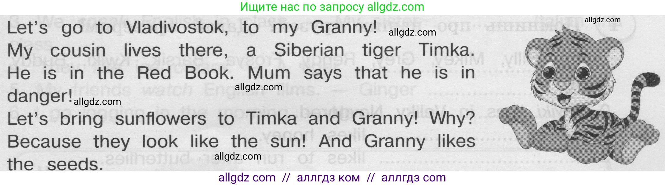Английский язык (english), 3 класс сборник грамматических упражнений, автор: Рязанцева Светлана Борисовна, издательство Просвещение, Москва, 2024, белого цвета, страница 77, Условие