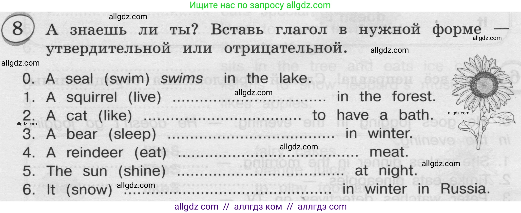 Английский язык (english), 3 класс сборник грамматических упражнений, автор: Рязанцева Светлана Борисовна, издательство Просвещение, Москва, 2024, белого цвета, страница 80, номер 8, Условие