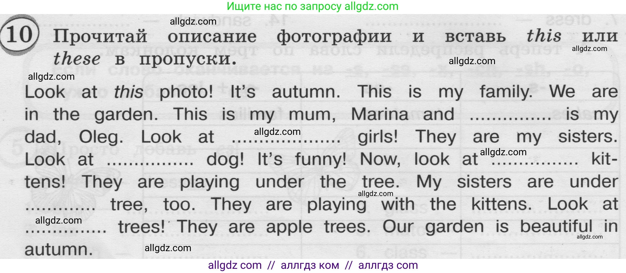 Английский язык (english), 3 класс сборник грамматических упражнений, автор: Рязанцева Светлана Борисовна, издательство Просвещение, Москва, 2024, белого цвета, страница 16, номер 10, Условие