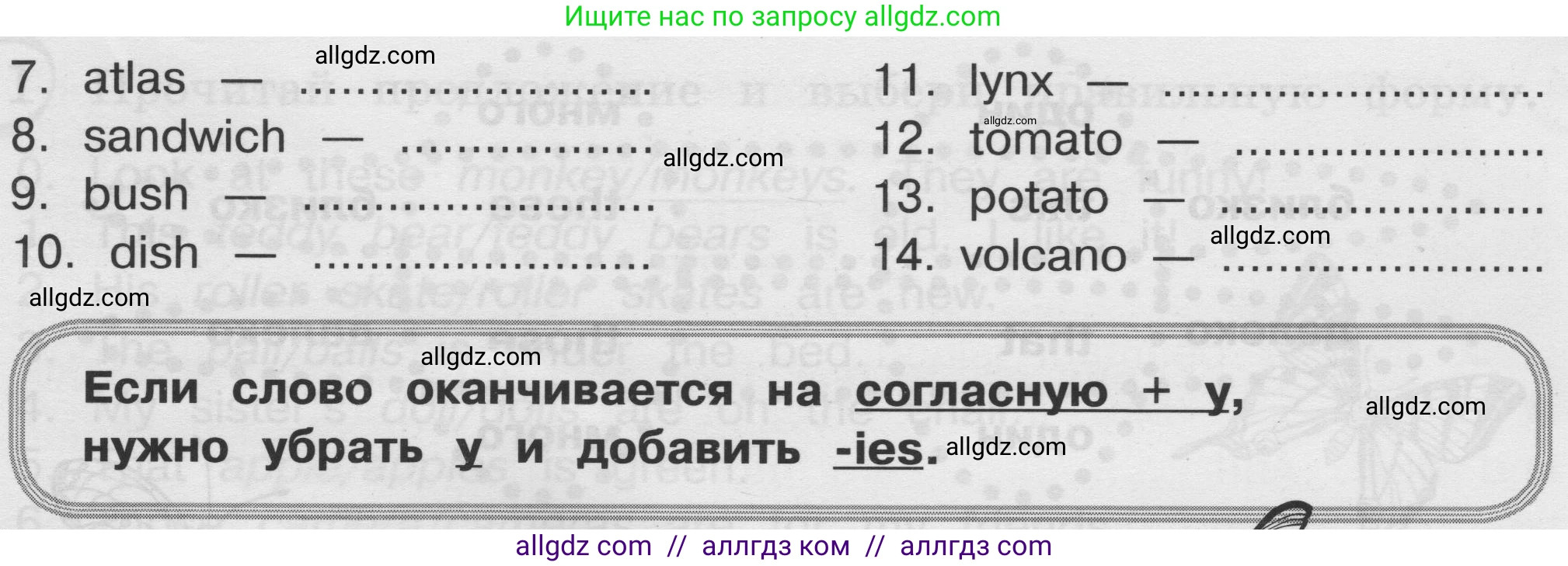 Английский язык (english), 3 класс сборник грамматических упражнений, автор: Рязанцева Светлана Борисовна, издательство Просвещение, Москва, 2024, белого цвета, страница 14, номер 5, Условие (продолжение 2)
