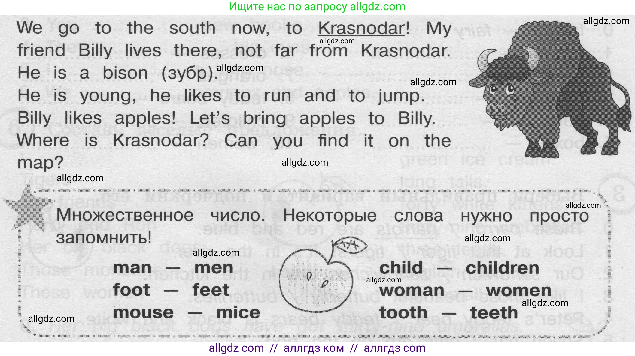 Английский язык (english), 3 класс сборник грамматических упражнений, автор: Рязанцева Светлана Борисовна, издательство Просвещение, Москва, 2024, белого цвета, страница 19, Условие