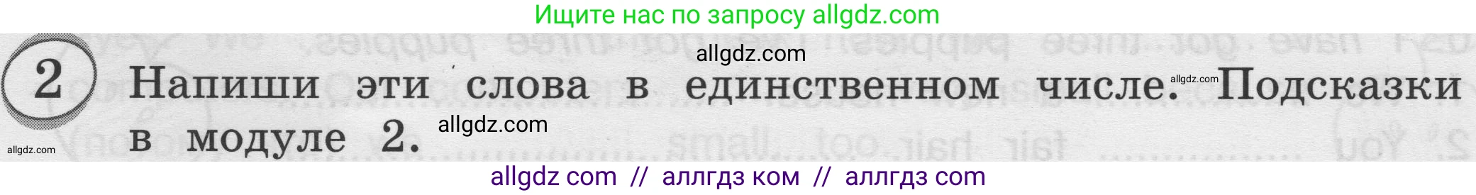 Английский язык (english), 3 класс сборник грамматических упражнений, автор: Рязанцева Светлана Борисовна, издательство Просвещение, Москва, 2024, белого цвета, страница 19, номер 2, Условие