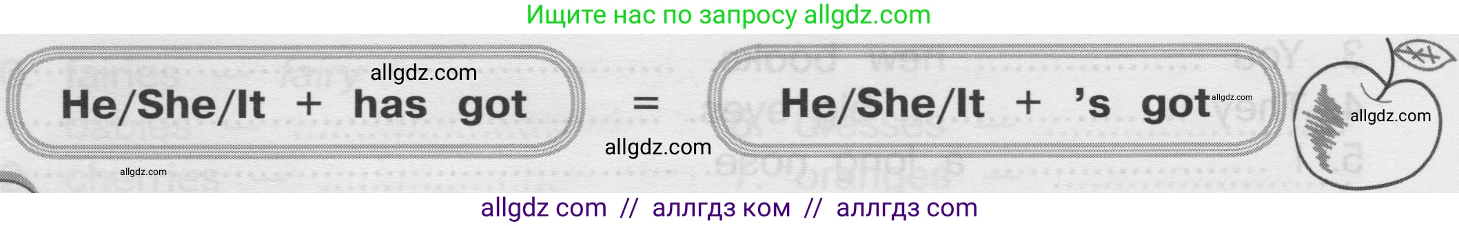 Английский язык (english), 3 класс сборник грамматических упражнений, автор: Рязанцева Светлана Борисовна, издательство Просвещение, Москва, 2024, белого цвета, страница 21, номер 8, Условие (продолжение 2)