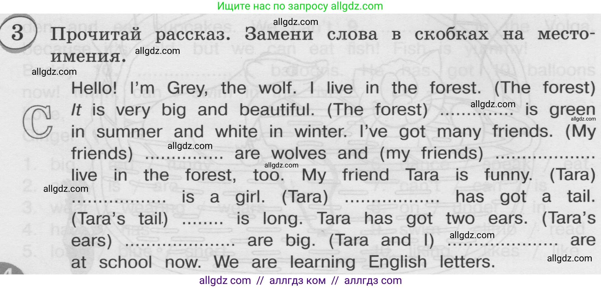 Английский язык (english), 3 класс сборник грамматических упражнений, автор: Рязанцева Светлана Борисовна, издательство Просвещение, Москва, 2024, белого цвета, страница 34, номер 3, Условие