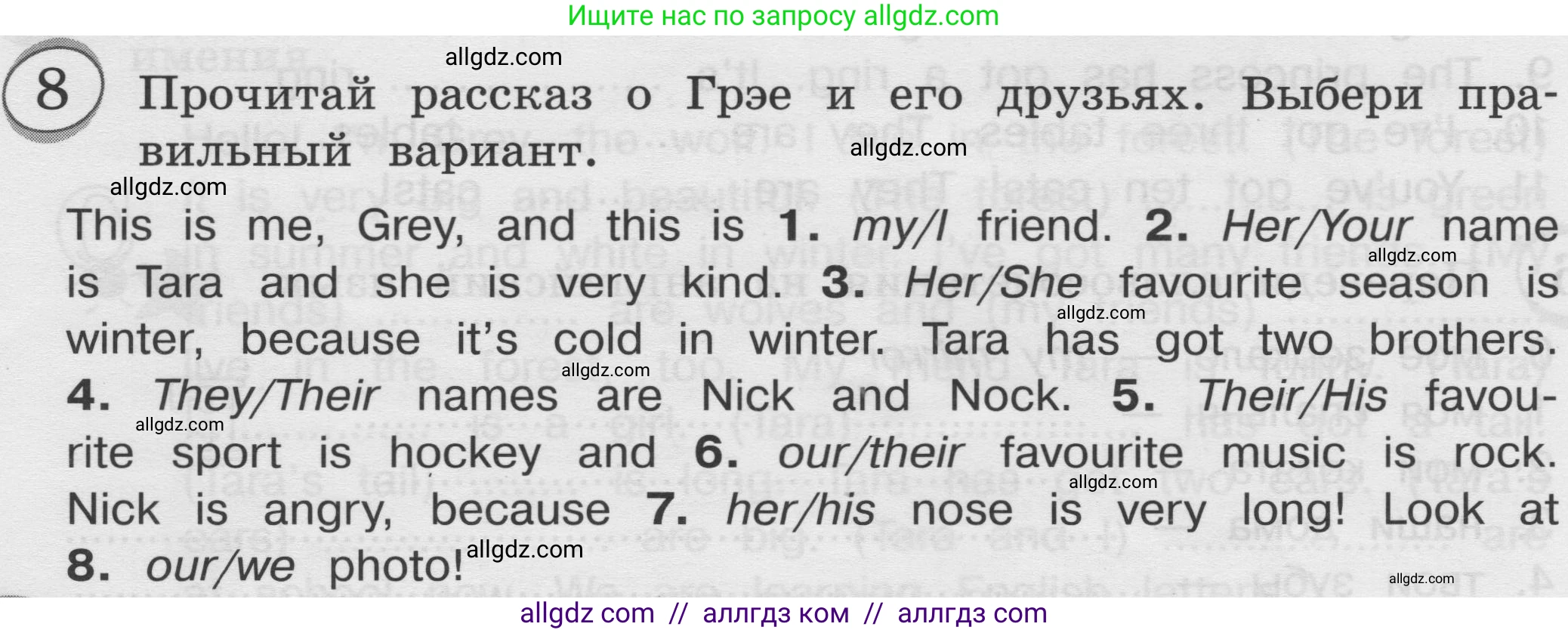 Английский язык (english), 3 класс сборник грамматических упражнений, автор: Рязанцева Светлана Борисовна, издательство Просвещение, Москва, 2024, белого цвета, страница 36, номер 8, Условие