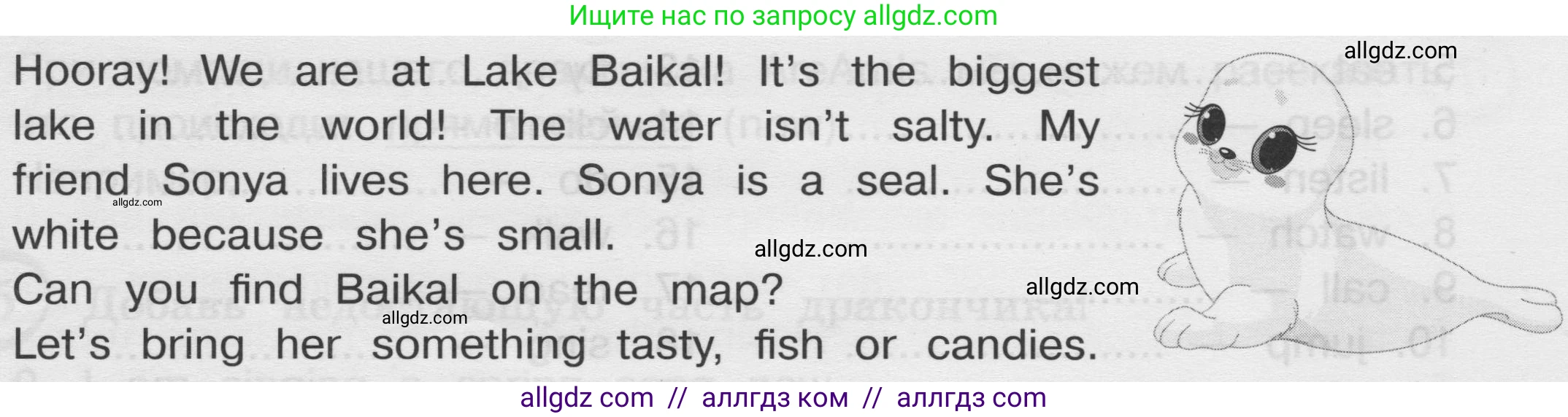 Английский язык (english), 3 класс сборник грамматических упражнений, автор: Рязанцева Светлана Борисовна, издательство Просвещение, Москва, 2024, белого цвета, страница 47, Условие
