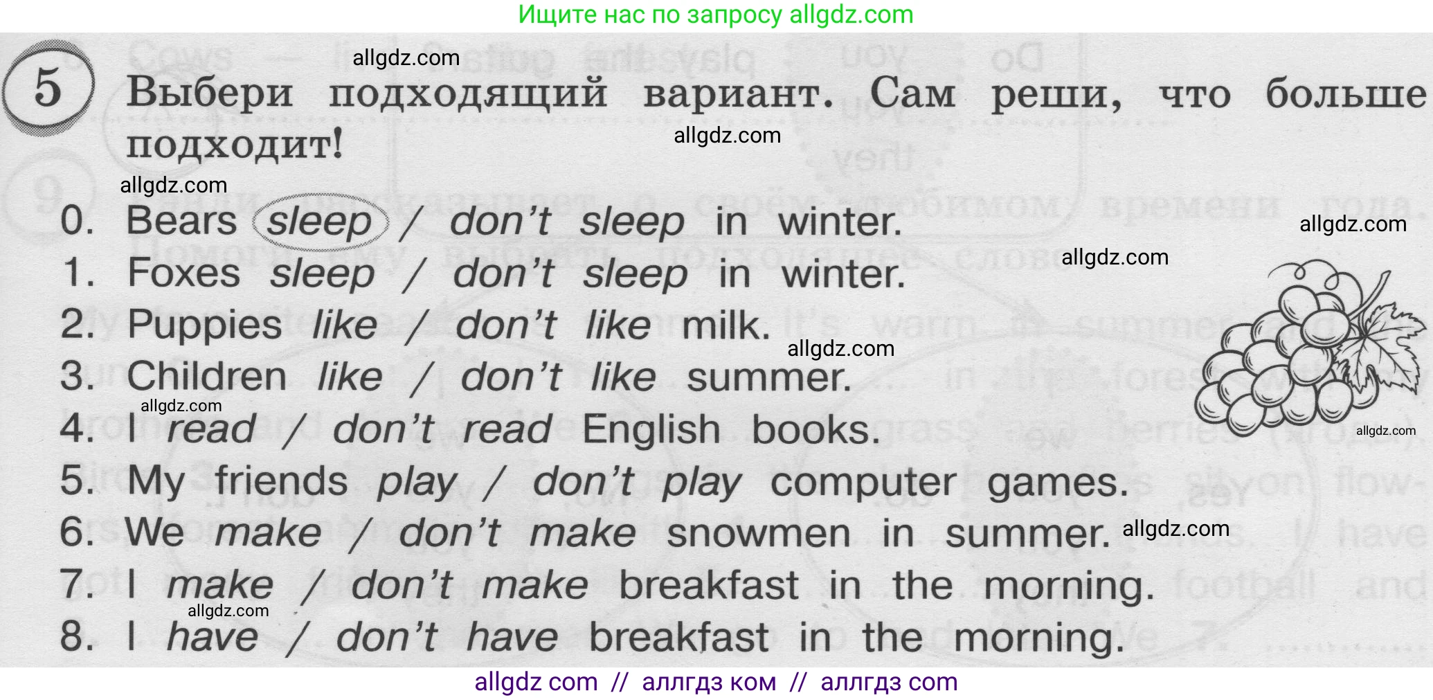 Английский язык (english), 3 класс сборник грамматических упражнений, автор: Рязанцева Светлана Борисовна, издательство Просвещение, Москва, 2024, белого цвета, страница 63, номер 5, Условие