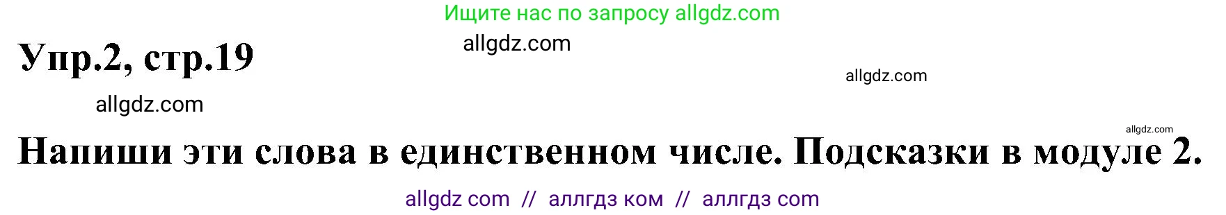 Английский язык (english), 3 класс сборник грамматических упражнений, автор: Рязанцева Светлана Борисовна, издательство Просвещение, Москва, 2024, белого цвета, страница 19, номер 2, Решение