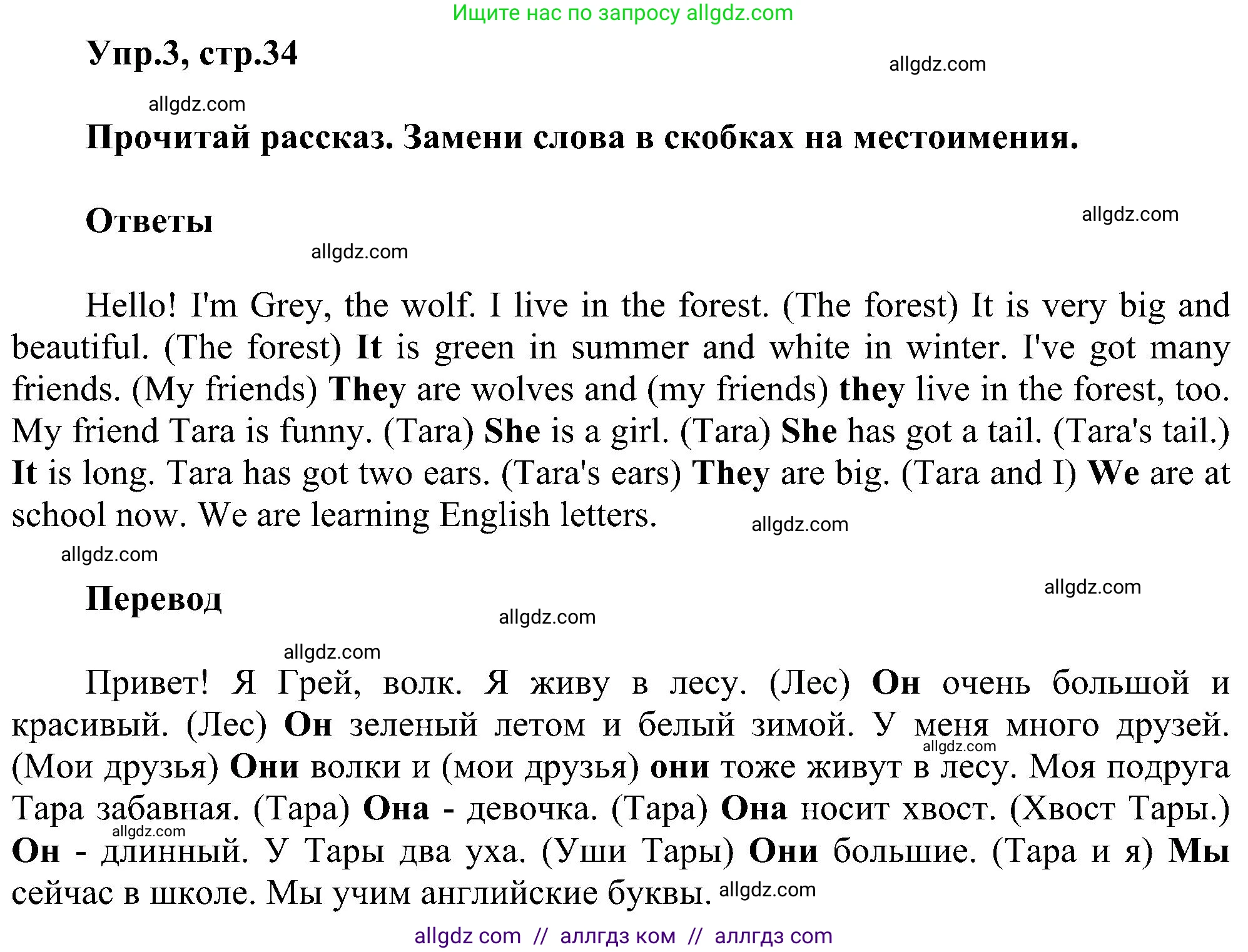 Английский язык (english), 3 класс сборник грамматических упражнений, автор: Рязанцева Светлана Борисовна, издательство Просвещение, Москва, 2024, белого цвета, страница 34, номер 3, Решение
