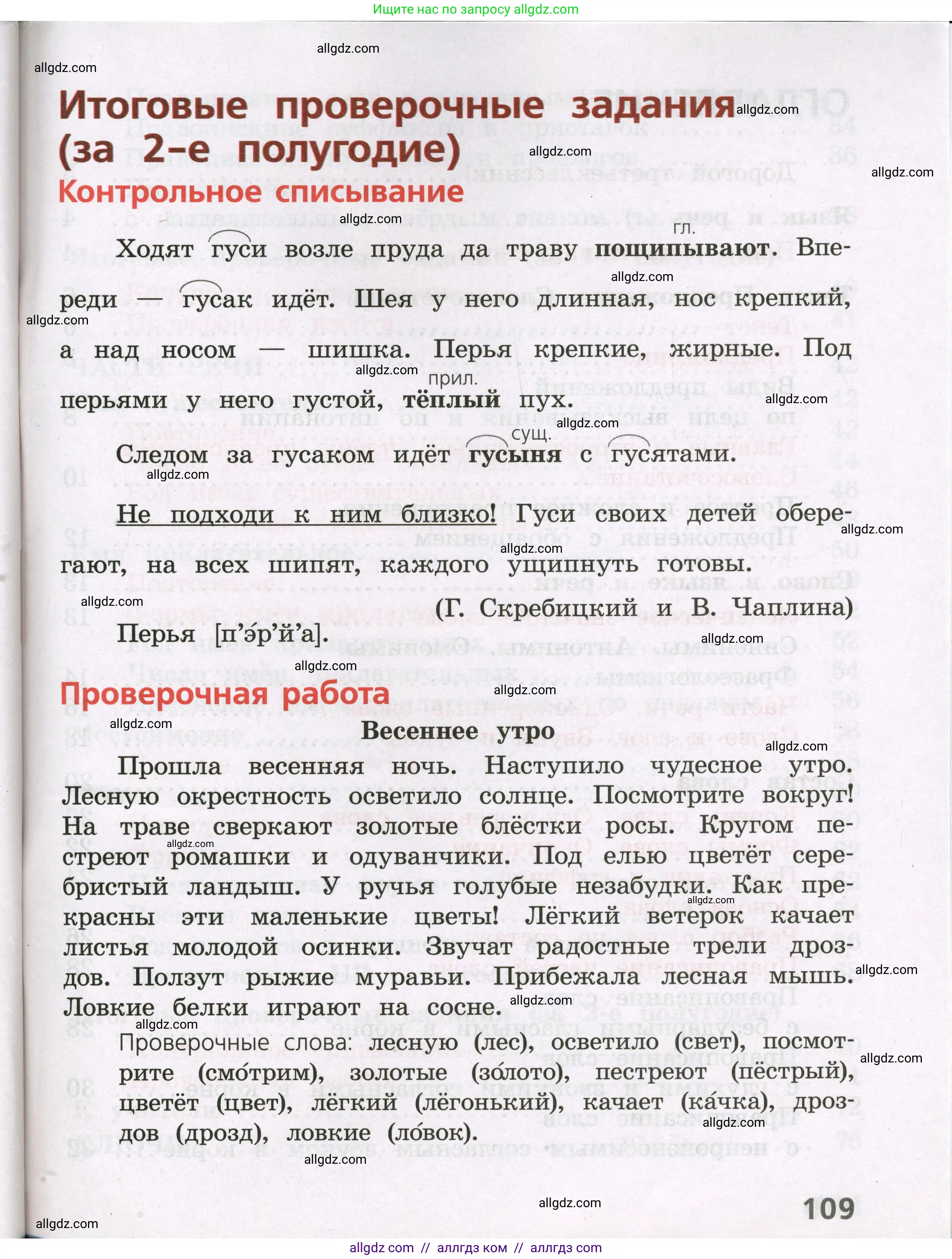 Русский язык, 3 класс Тетрадь учебных достижений, автор: Канакина Валентина Павловна, издательство Просвещение, Москва, 2023, белого цвета, страница 109