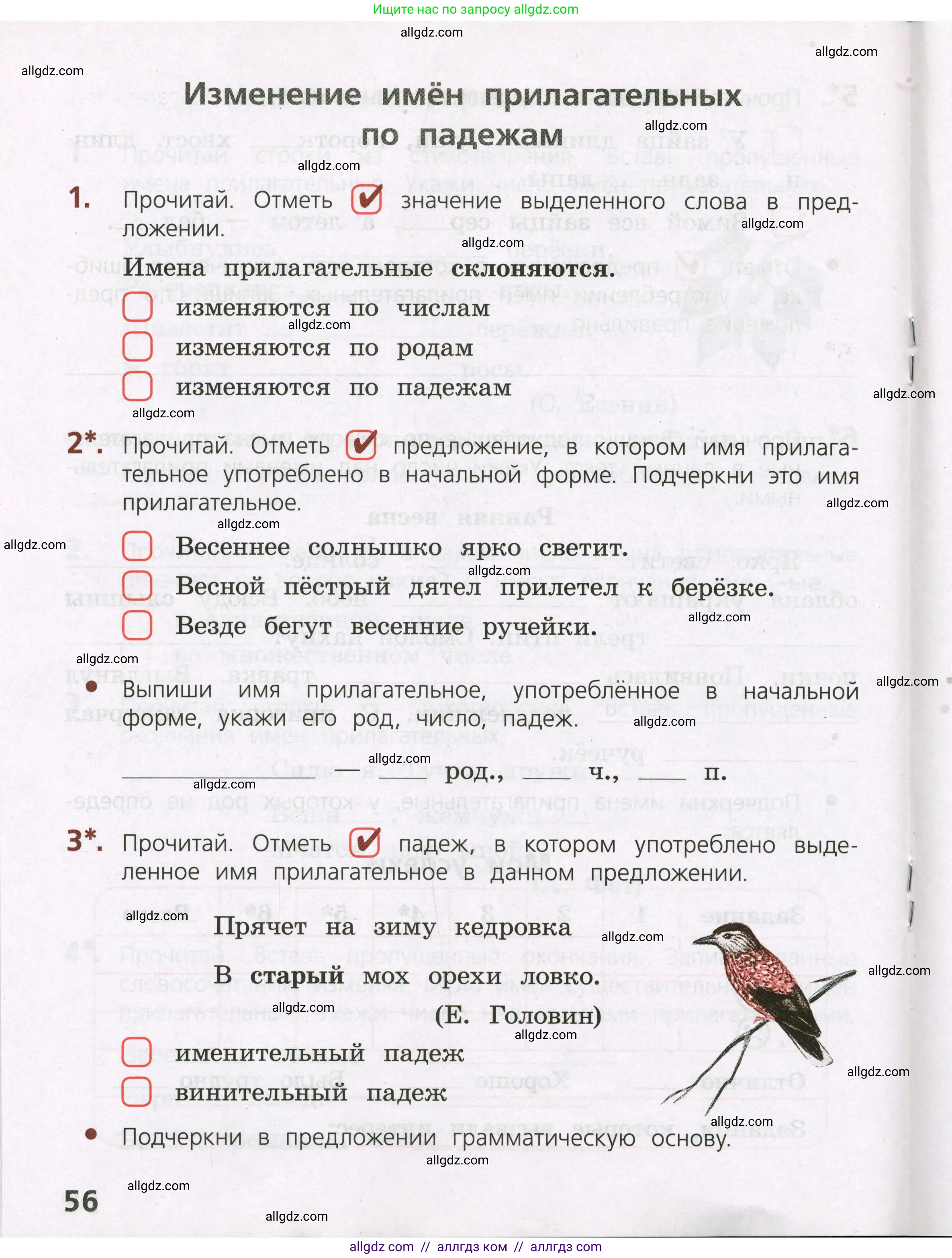 Русский язык, 3 класс Тетрадь учебных достижений, автор: Канакина Валентина Павловна, издательство Просвещение, Москва, 2023, белого цвета, страница 56