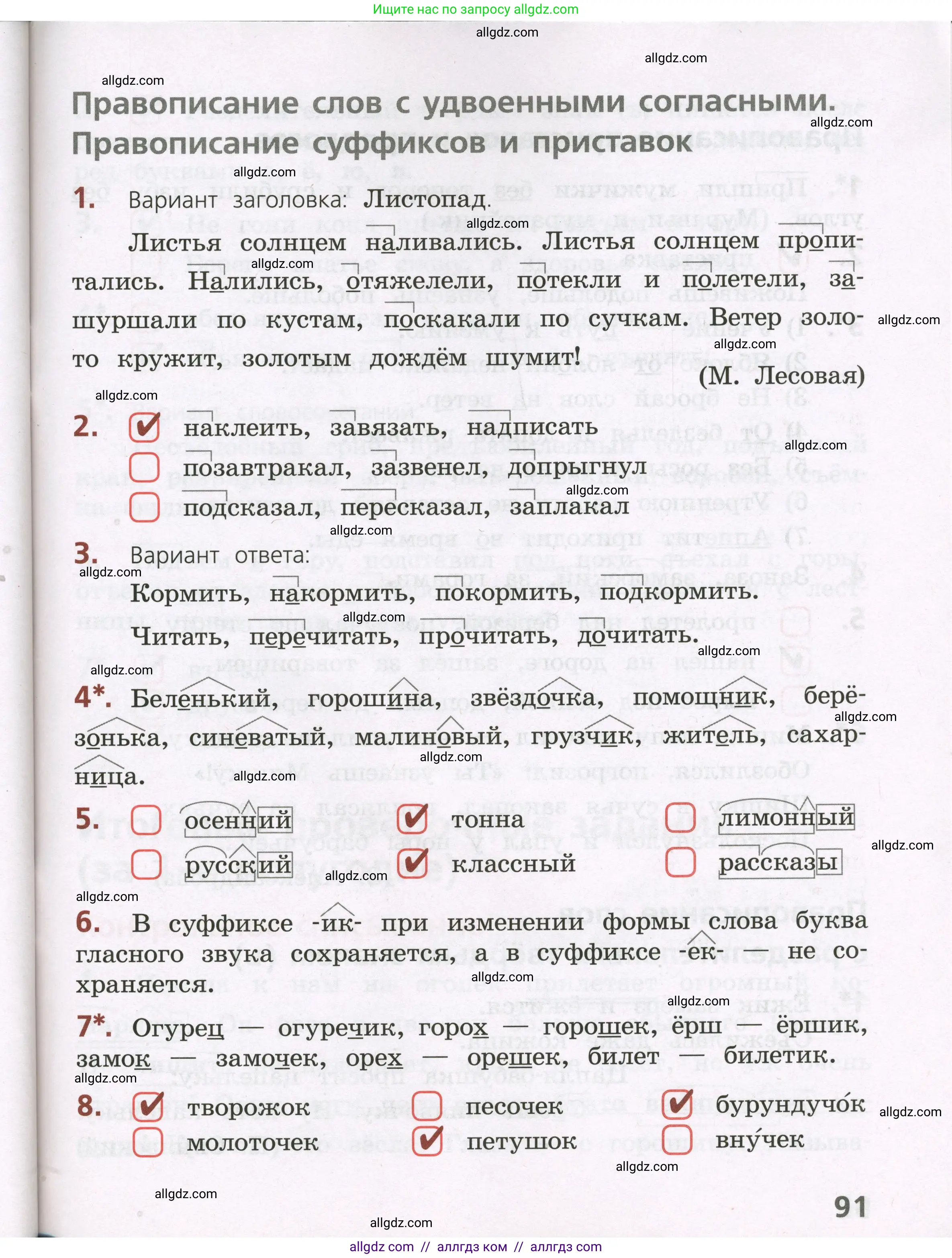 Русский язык, 3 класс Тетрадь учебных достижений, автор: Канакина Валентина Павловна, издательство Просвещение, Москва, 2023, белого цвета, страница 91