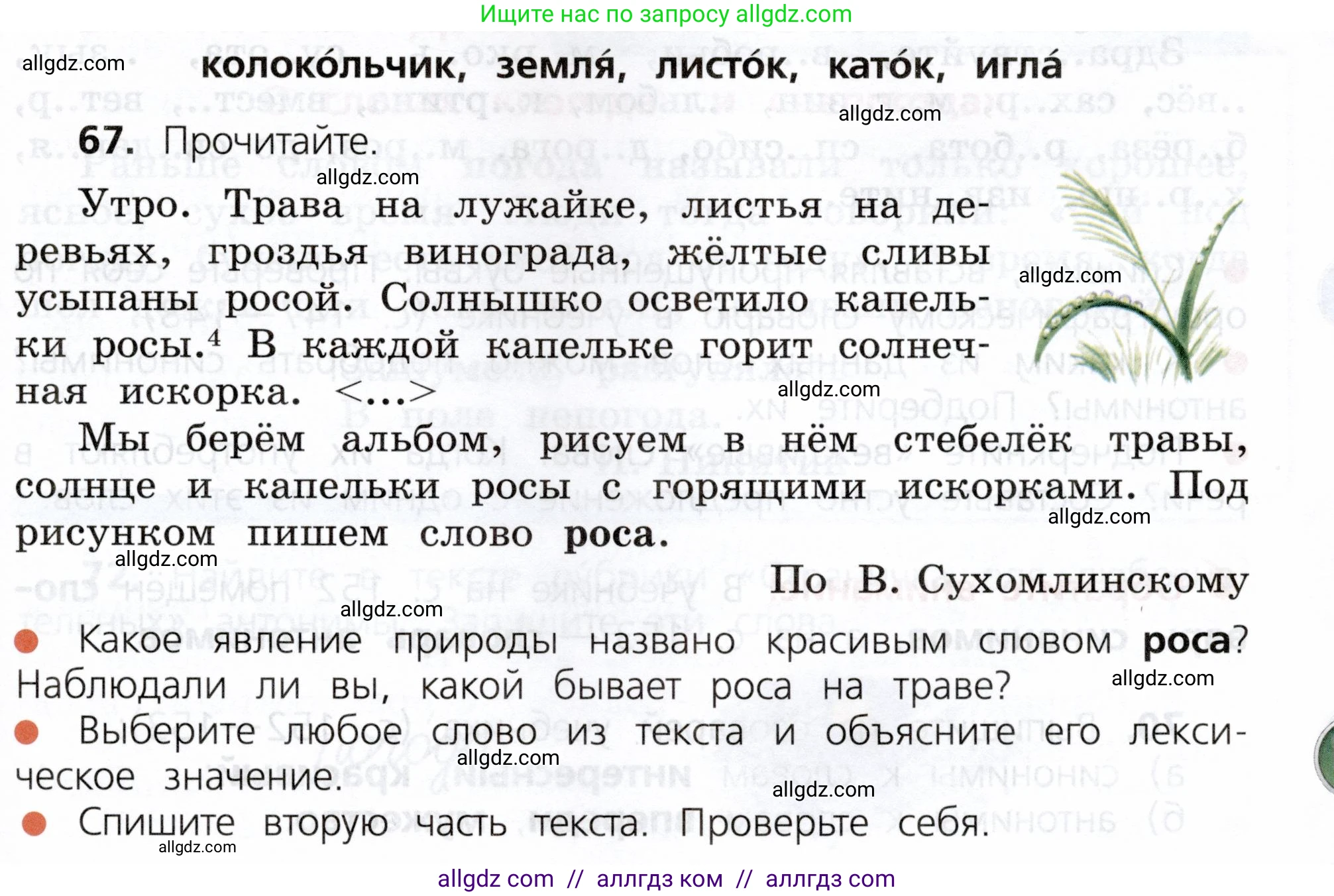 Русский язык, 3 класс Учебник, авторы: Канакина Валентина Павловна, Горецкий Всеслав Гаврилович, издательство Просвещение, Москва, 2023, белого цвета, Часть 1, страница 41, номер 67, Условие