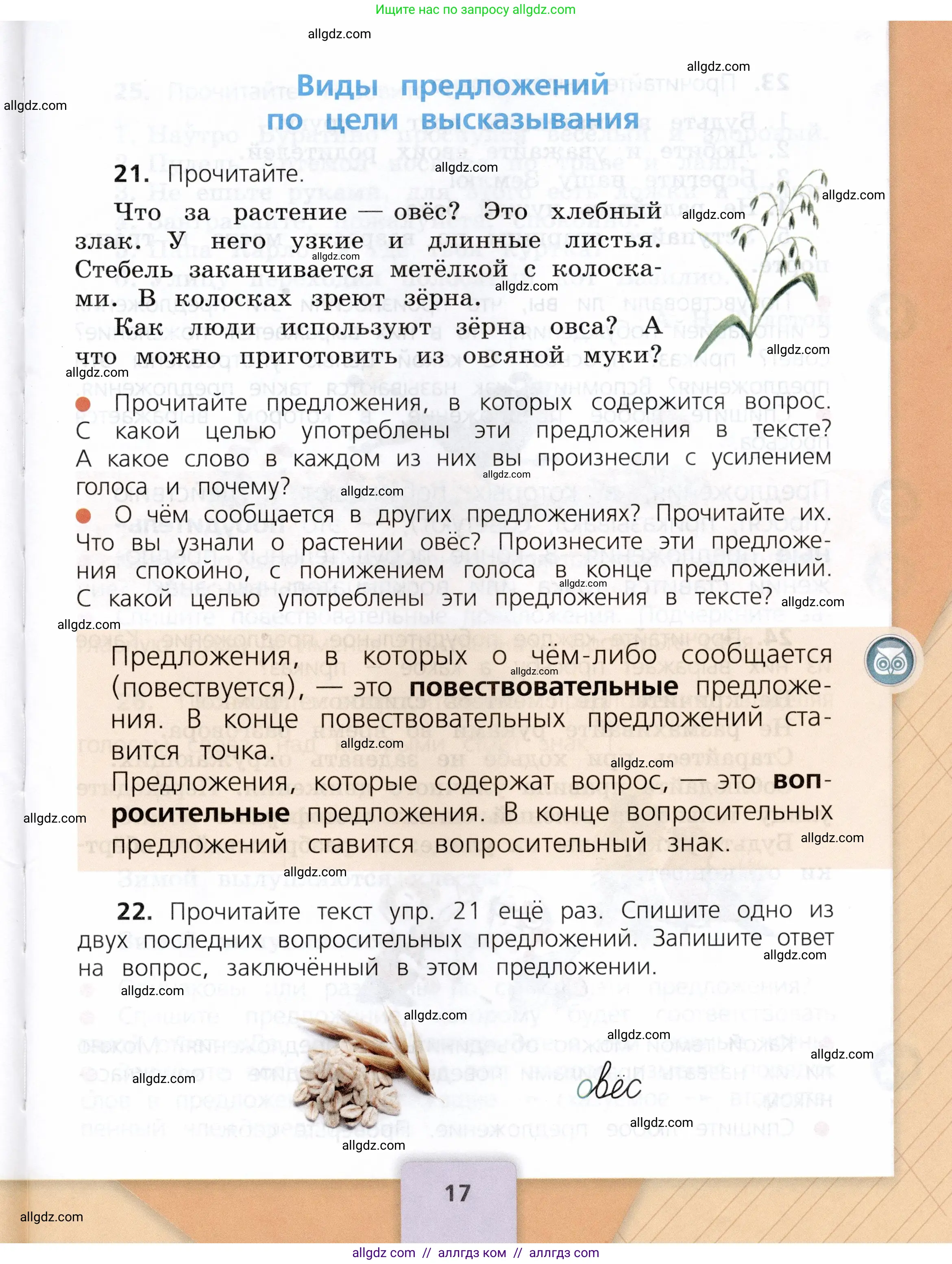 Русский язык, 3 класс Учебник, авторы: Канакина Валентина Павловна, Горецкий Всеслав Гаврилович, издательство Просвещение, Москва, 2023, белого цвета, Часть 1, страница 17