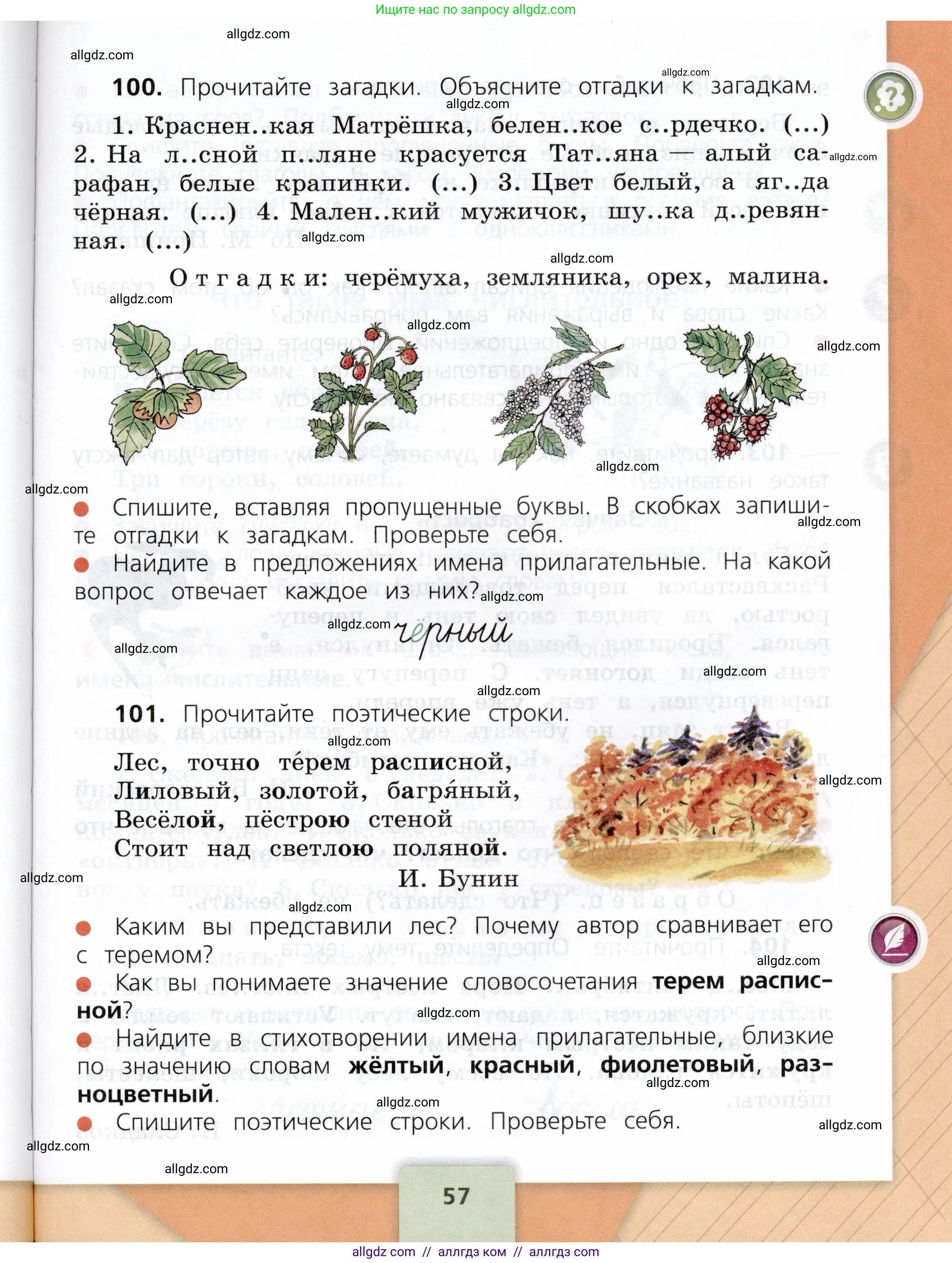 Русский язык, 3 класс Учебник, авторы: Канакина Валентина Павловна, Горецкий Всеслав Гаврилович, издательство Просвещение, Москва, 2023, белого цвета, Часть 1, страница 57