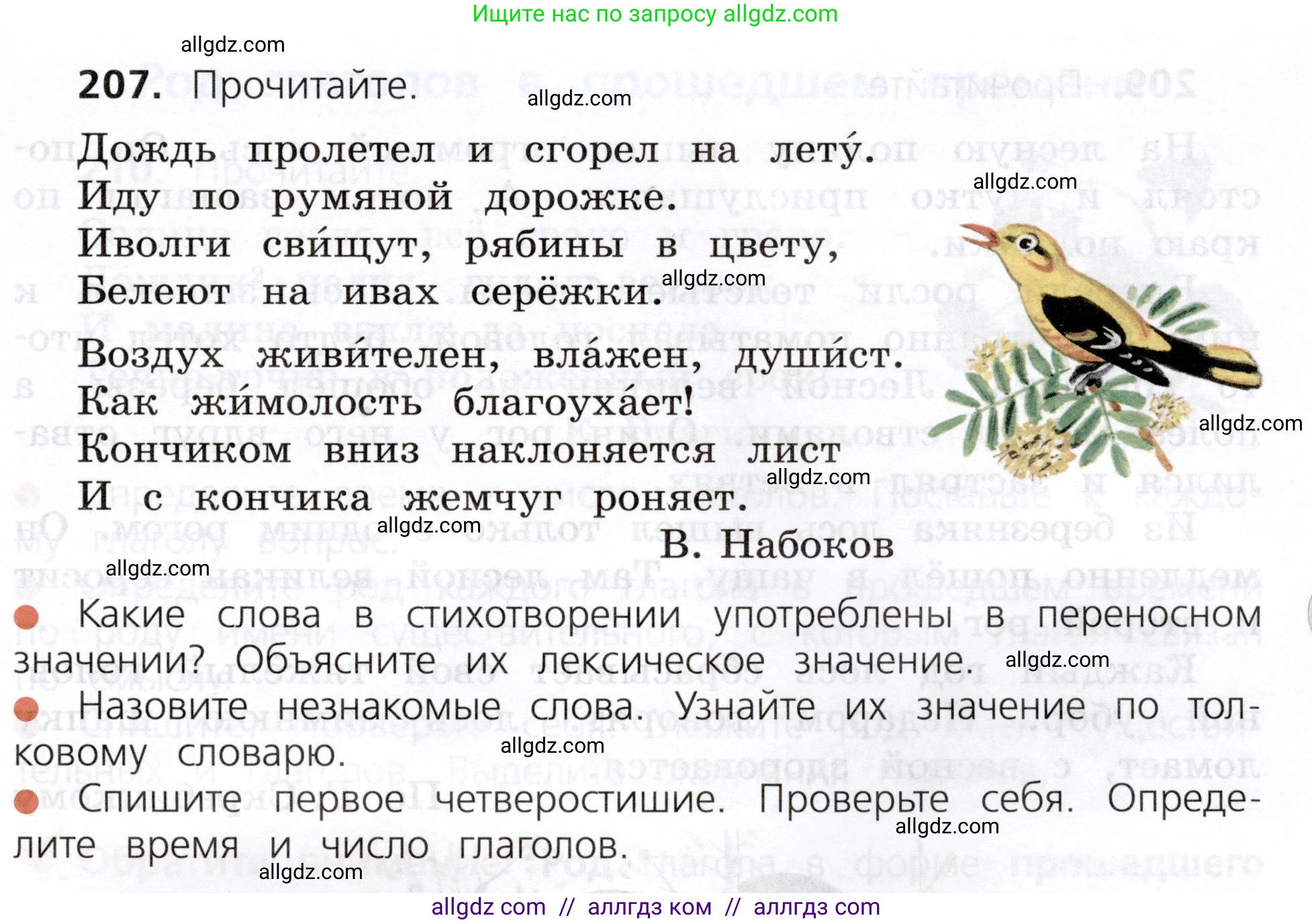 Русский язык, 3 класс Учебник, авторы: Канакина Валентина Павловна, Горецкий Всеслав Гаврилович, издательство Просвещение, Москва, 2023, белого цвета, Часть 2, страница 117, номер 207, Условие