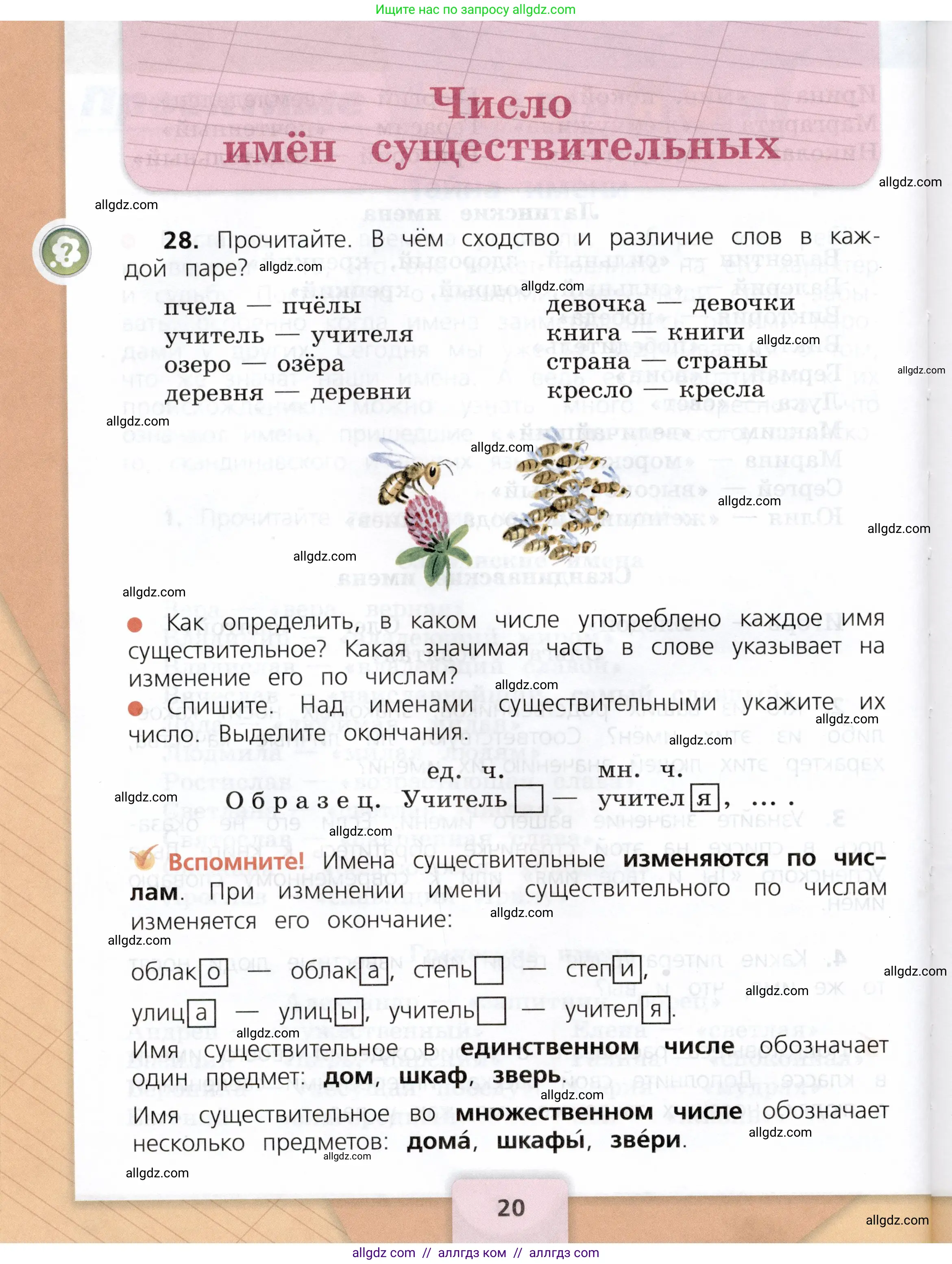 Русский язык, 3 класс Учебник, авторы: Канакина Валентина Павловна, Горецкий Всеслав Гаврилович, издательство Просвещение, Москва, 2023, белого цвета, Часть 2, страница 20
