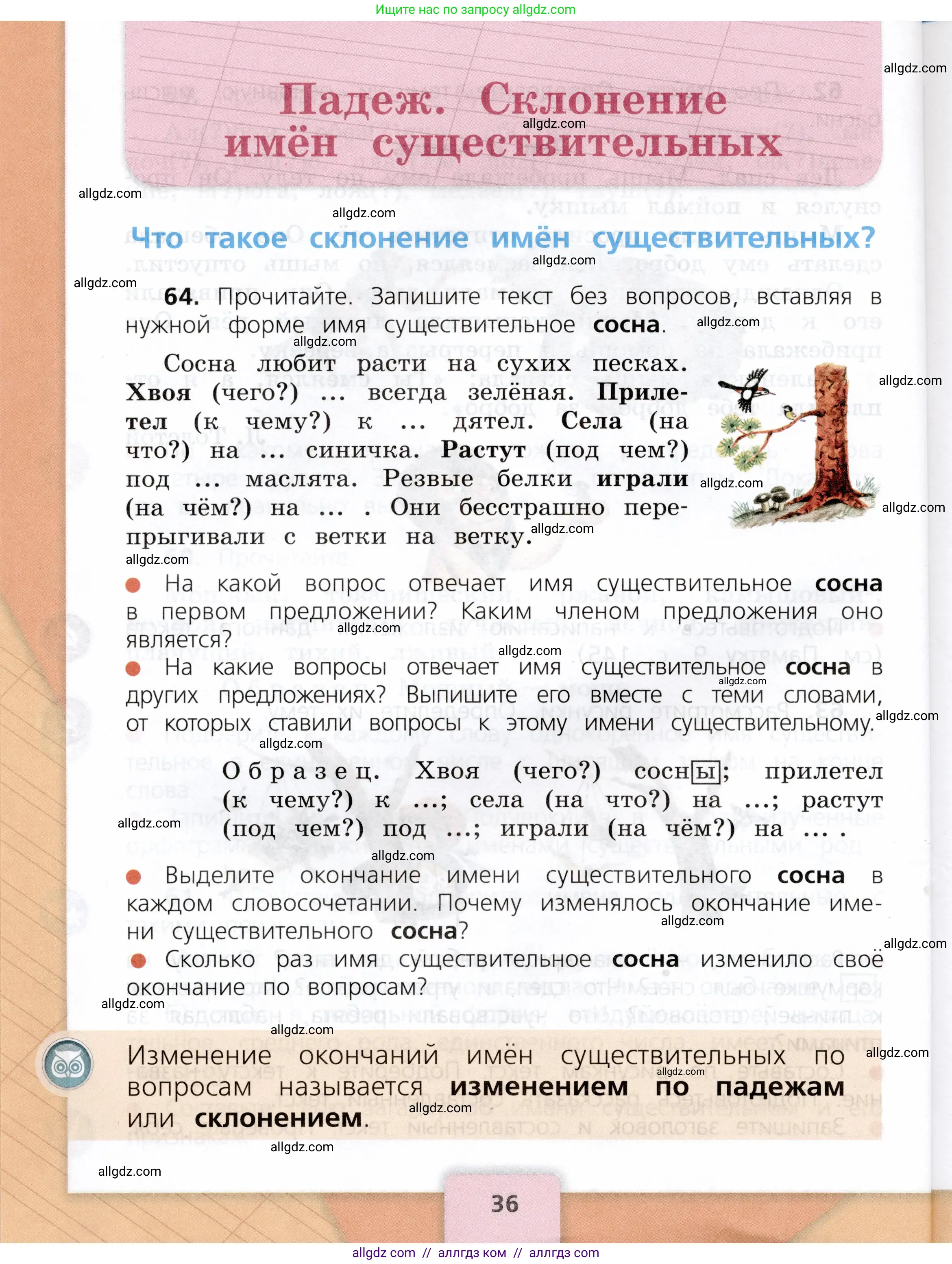 Русский язык, 3 класс Учебник, авторы: Канакина Валентина Павловна, Горецкий Всеслав Гаврилович, издательство Просвещение, Москва, 2023, белого цвета, Часть 2, страница 36