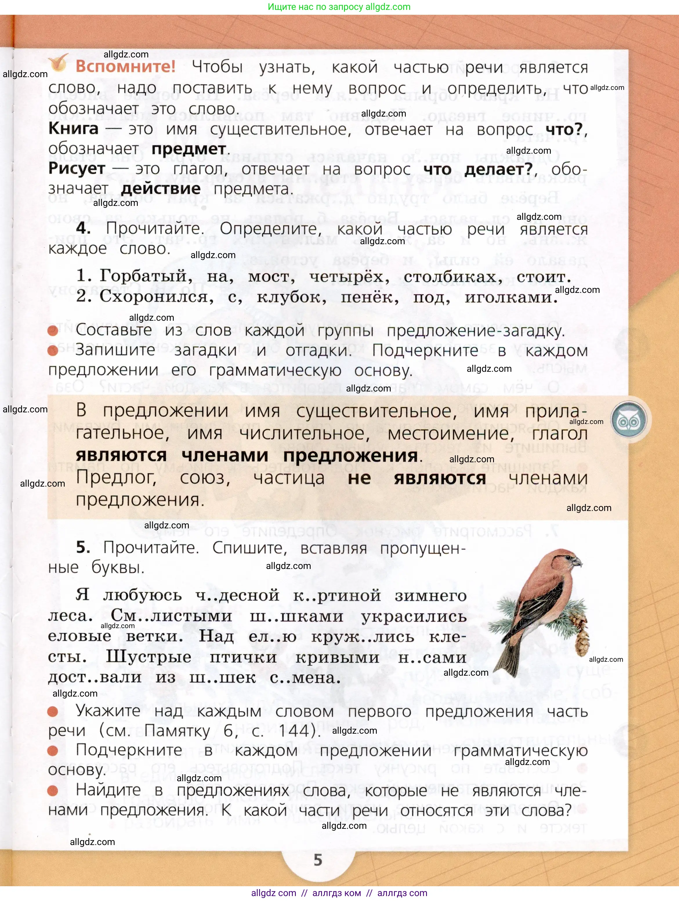 Русский язык, 3 класс Учебник, авторы: Канакина Валентина Павловна, Горецкий Всеслав Гаврилович, издательство Просвещение, Москва, 2023, белого цвета, Часть 2, страница 5