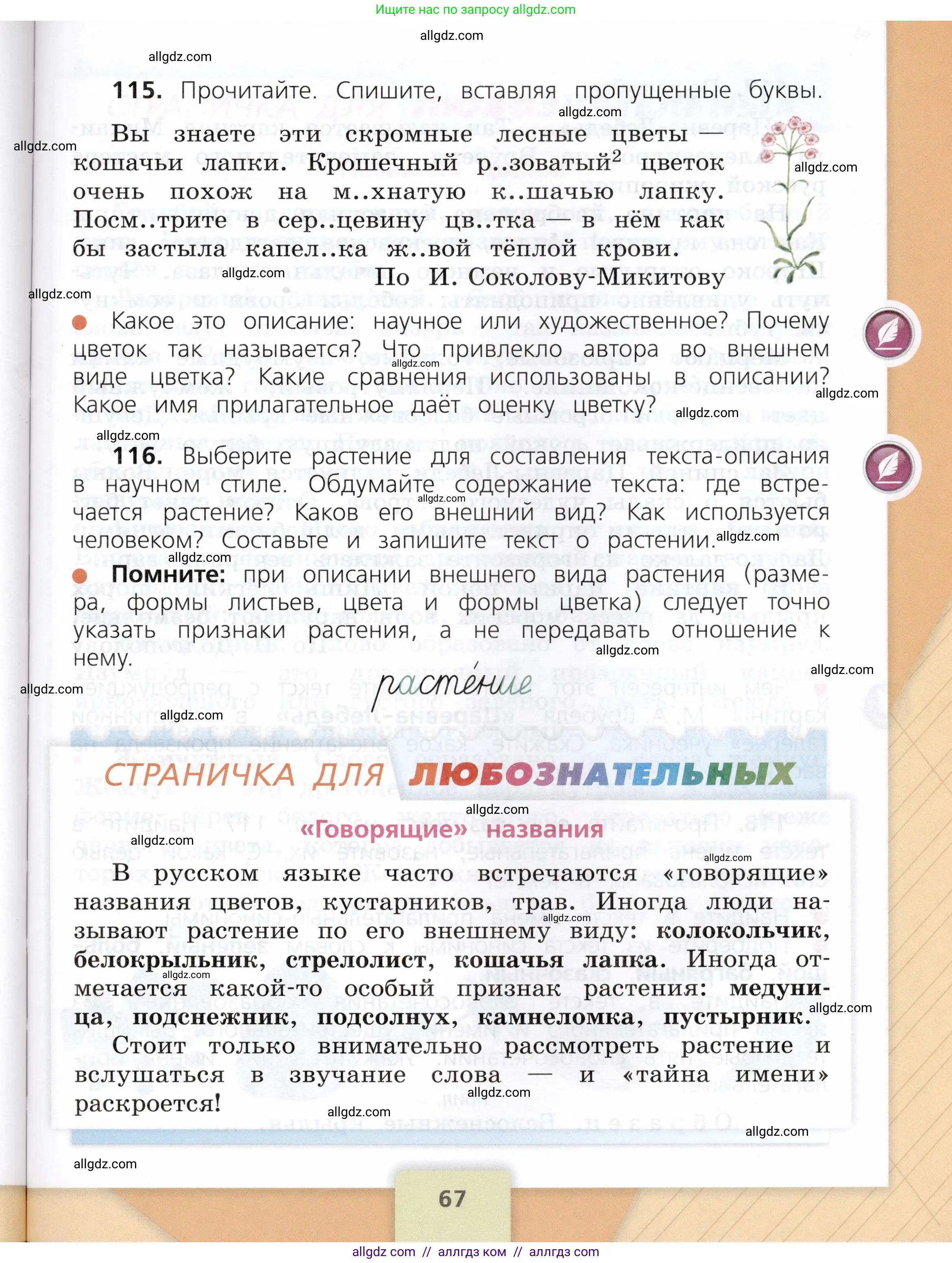 Русский язык, 3 класс Учебник, авторы: Канакина Валентина Павловна, Горецкий Всеслав Гаврилович, издательство Просвещение, Москва, 2023, белого цвета, Часть 2, страница 67