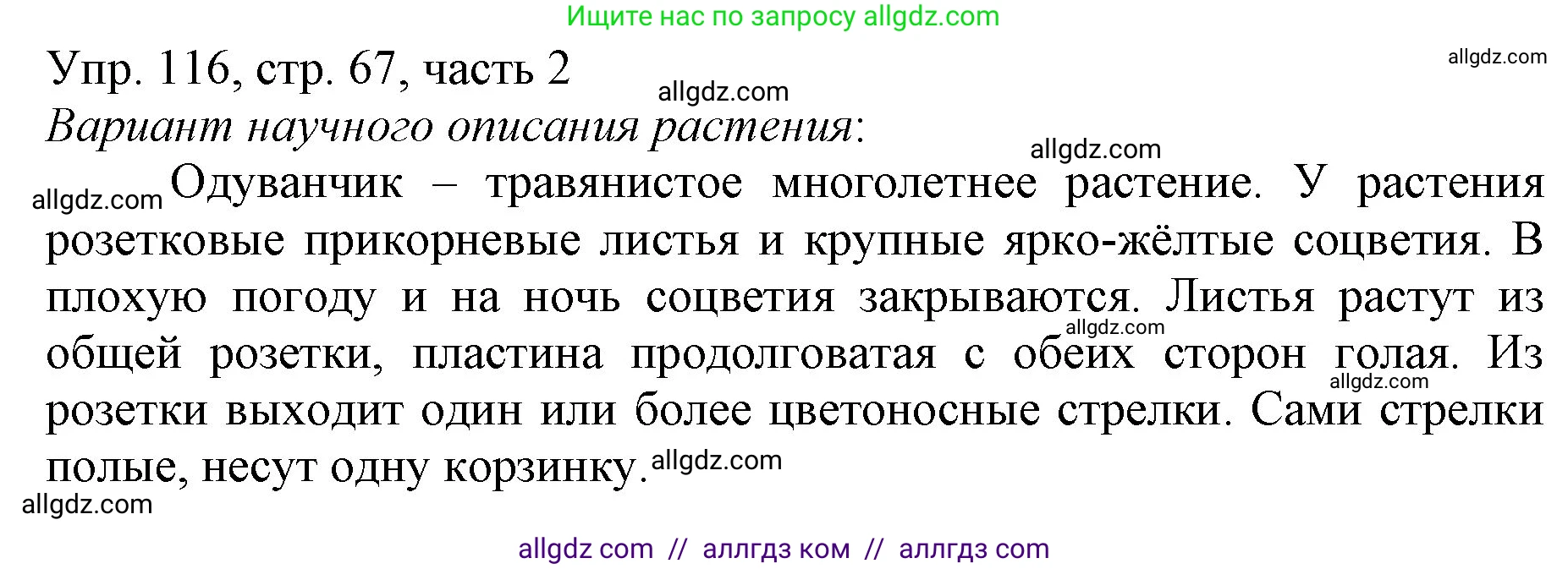 Русский язык, 3 класс Учебник, авторы: Канакина Валентина Павловна, Горецкий Всеслав Гаврилович, издательство Просвещение, Москва, 2023, белого цвета, Часть 2, страница 67, номер 116, Решение