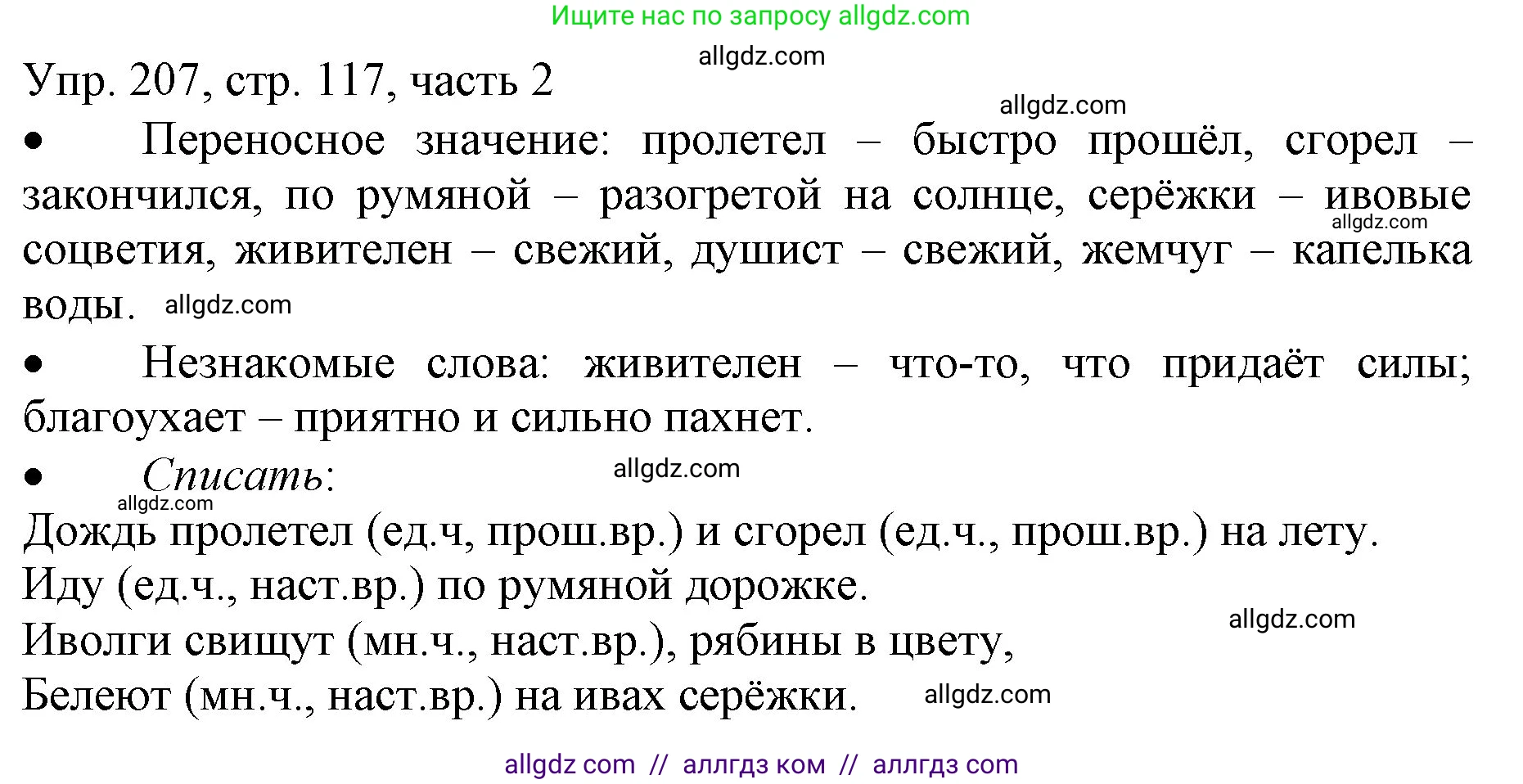 Русский язык, 3 класс Учебник, авторы: Канакина Валентина Павловна, Горецкий Всеслав Гаврилович, издательство Просвещение, Москва, 2023, белого цвета, Часть 2, страница 117, номер 207, Решение