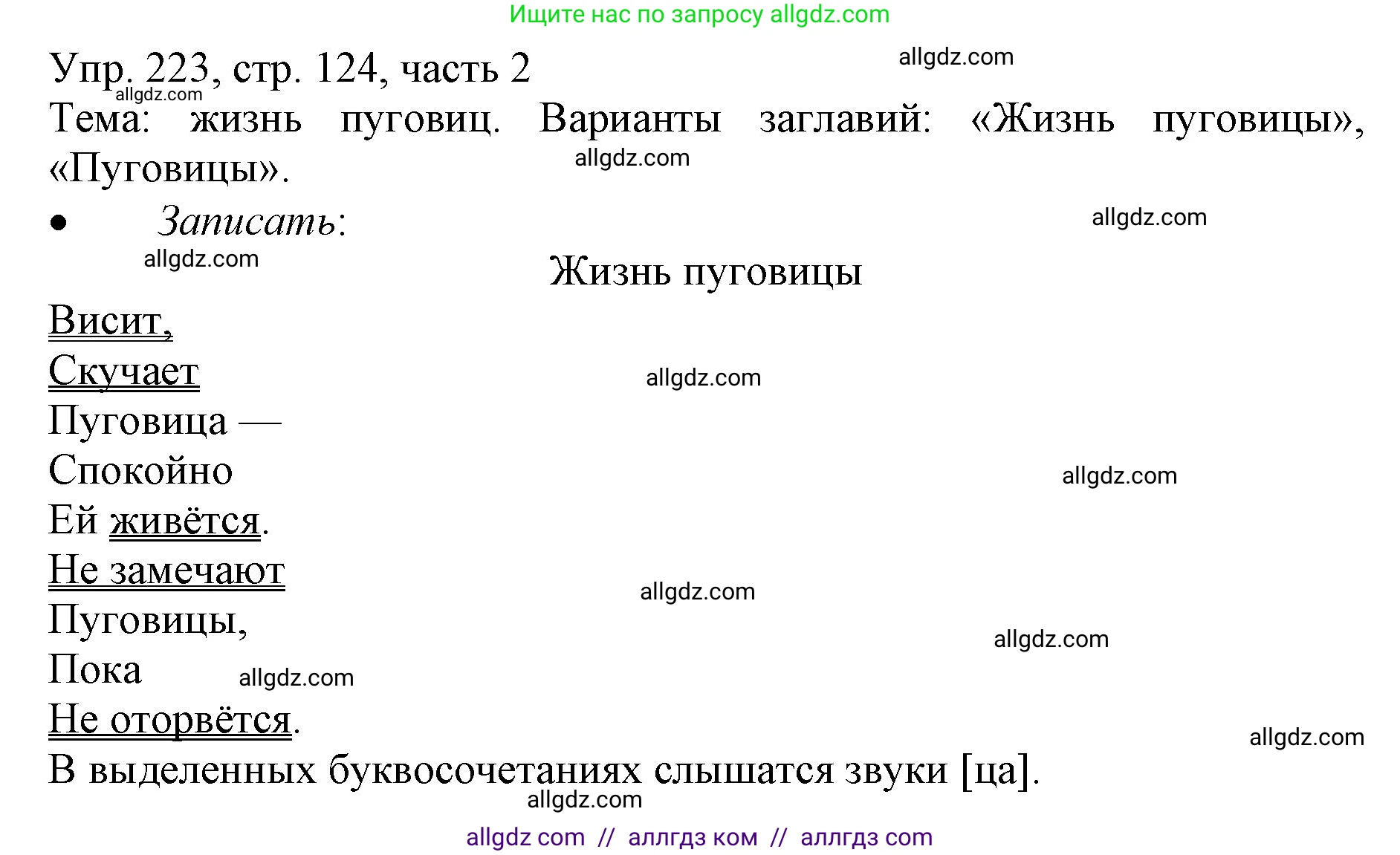 Русский язык, 3 класс Учебник, авторы: Канакина Валентина Павловна, Горецкий Всеслав Гаврилович, издательство Просвещение, Москва, 2023, белого цвета, Часть 2, страница 124, номер 223, Решение