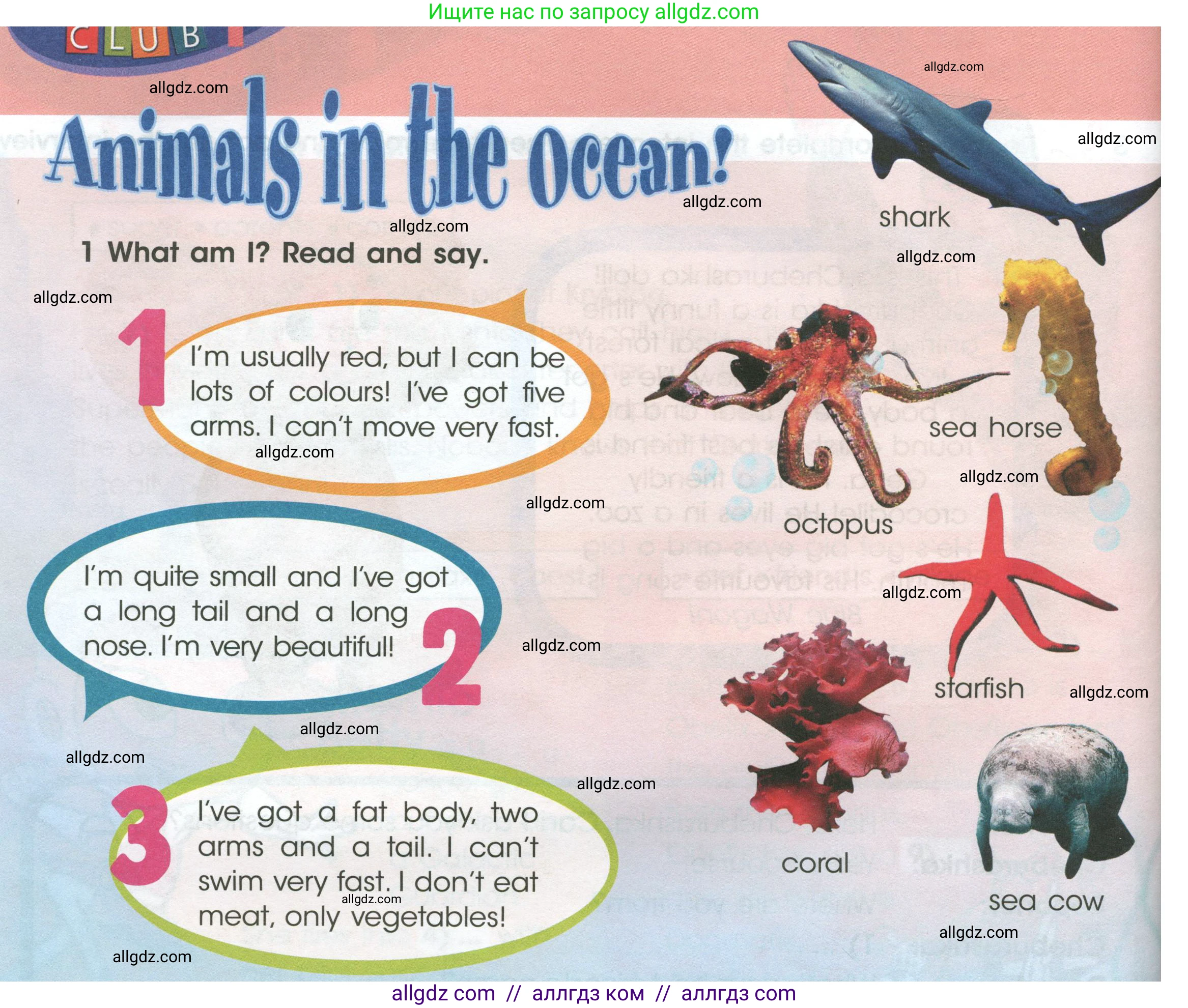 Английский язык (english), 4 класс Учебник (Student's book), авторы: Баранова Ксения Михайловна (Baranova Ksenia), Дули Дженни (Dooley Jenny), Копылова Виктория Викторовна (Kopylova Victoria), Мильруд Радислав Петрович (Millrood Radislav), Эванс Вирджиния (Evans Virginia), издательство Просвещение, Москва, 2023, розового цвета, Часть ( Part) 1, страница 36, номер 1, Условие