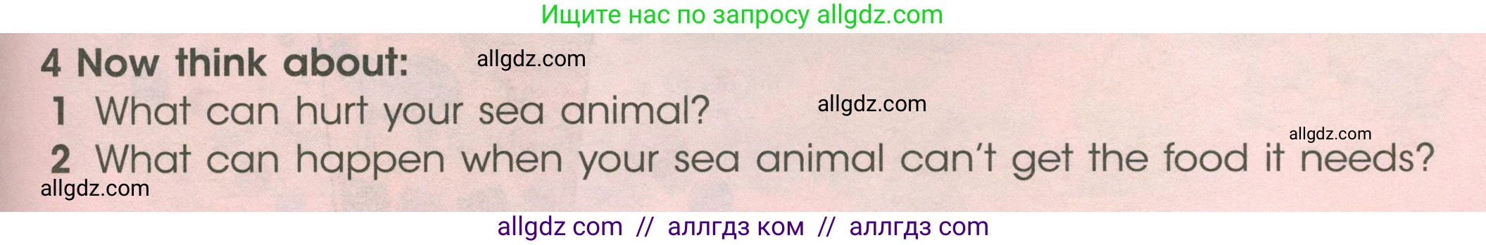 Английский язык (english), 4 класс Учебник (Student's book), авторы: Баранова Ксения Михайловна (Baranova Ksenia), Дули Дженни (Dooley Jenny), Копылова Виктория Викторовна (Kopylova Victoria), Мильруд Радислав Петрович (Millrood Radislav), Эванс Вирджиния (Evans Virginia), издательство Просвещение, Москва, 2023, розового цвета, Часть ( Part) 1, страница 37, номер 4, Условие