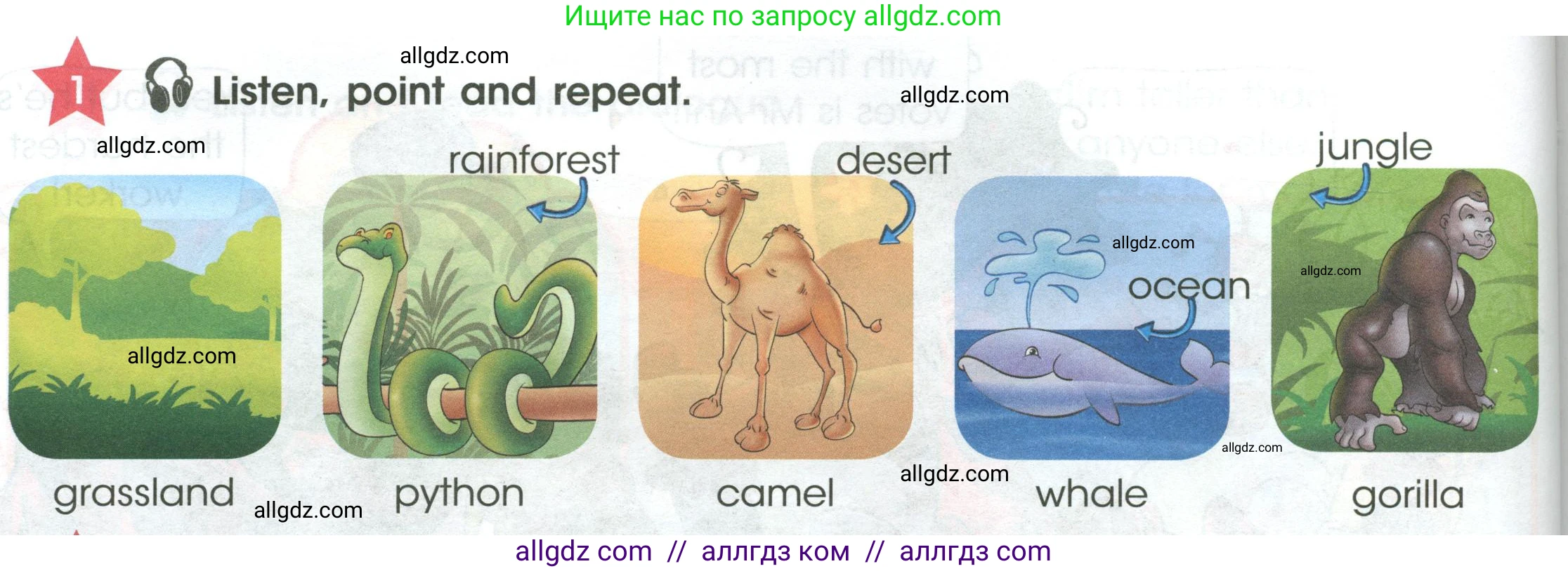 Английский язык (english), 4 класс Учебник (Student's book), авторы: Баранова Ксения Михайловна (Baranova Ksenia), Дули Дженни (Dooley Jenny), Копылова Виктория Викторовна (Kopylova Victoria), Мильруд Радислав Петрович (Millrood Radislav), Эванс Вирджиния (Evans Virginia), издательство Просвещение, Москва, 2023, розового цвета, Часть ( Part) 1, страница 86, номер 1, Условие