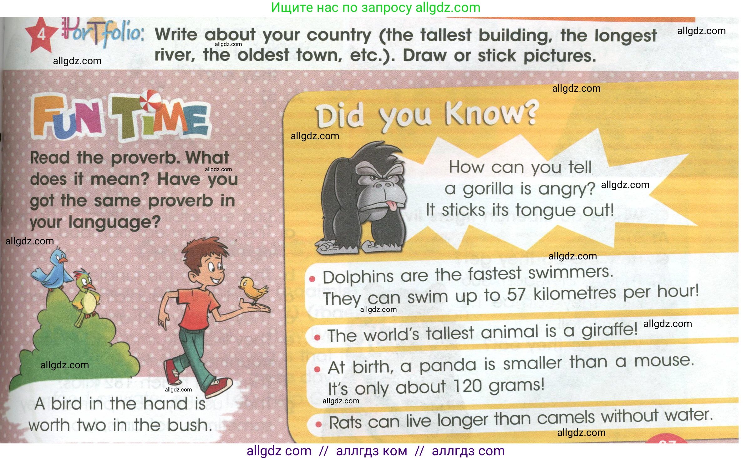 Английский язык (english), 4 класс Учебник (Student's book), авторы: Баранова Ксения Михайловна (Baranova Ksenia), Дули Дженни (Dooley Jenny), Копылова Виктория Викторовна (Kopylova Victoria), Мильруд Радислав Петрович (Millrood Radislav), Эванс Вирджиния (Evans Virginia), издательство Просвещение, Москва, 2023, розового цвета, Часть ( Part) 1, страница 87, номер 4, Условие