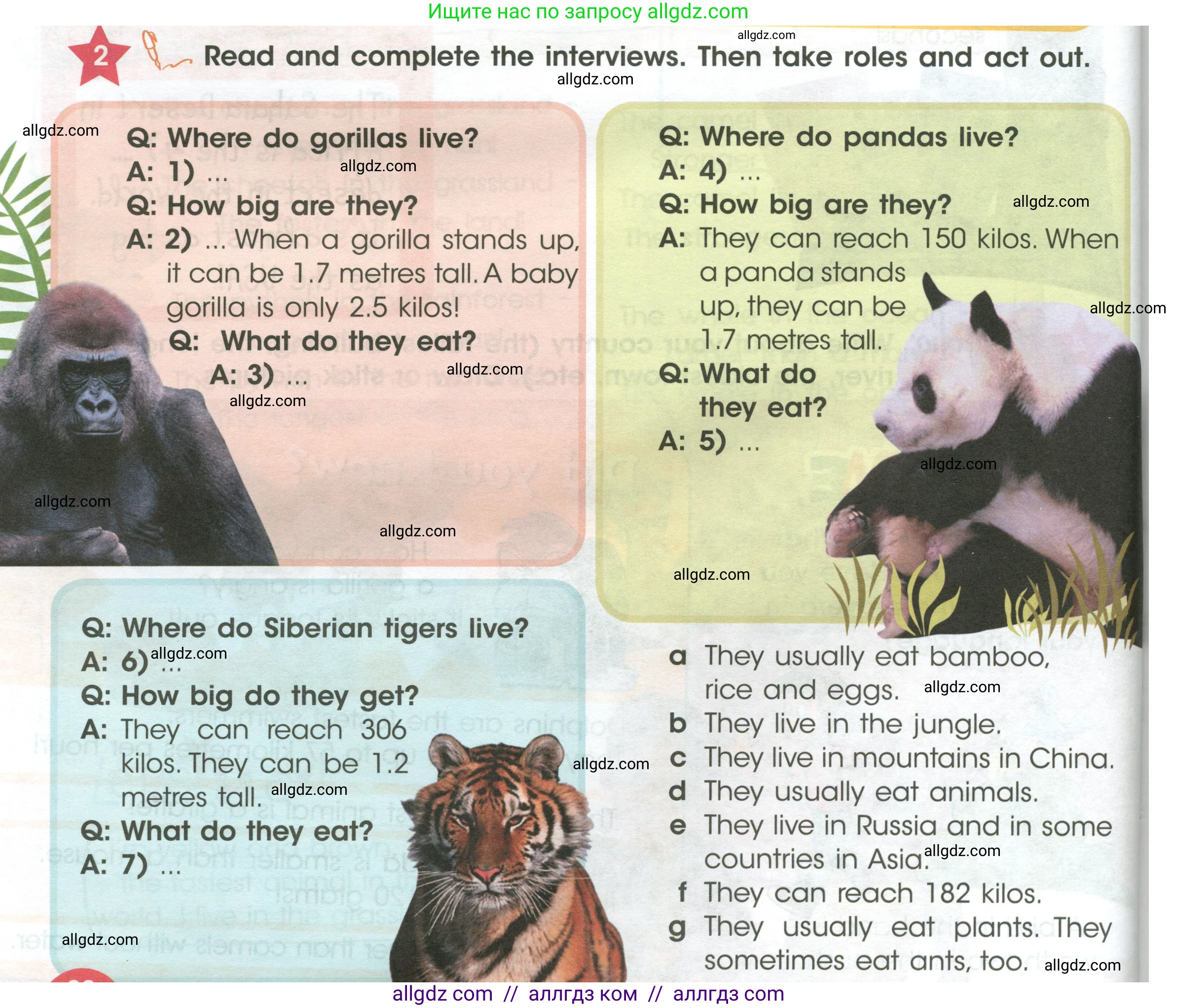 Английский язык (english), 4 класс Учебник (Student's book), авторы: Баранова Ксения Михайловна (Baranova Ksenia), Дули Дженни (Dooley Jenny), Копылова Виктория Викторовна (Kopylova Victoria), Мильруд Радислав Петрович (Millrood Radislav), Эванс Вирджиния (Evans Virginia), издательство Просвещение, Москва, 2023, розового цвета, Часть ( Part) 1, страница 88, номер 2, Условие