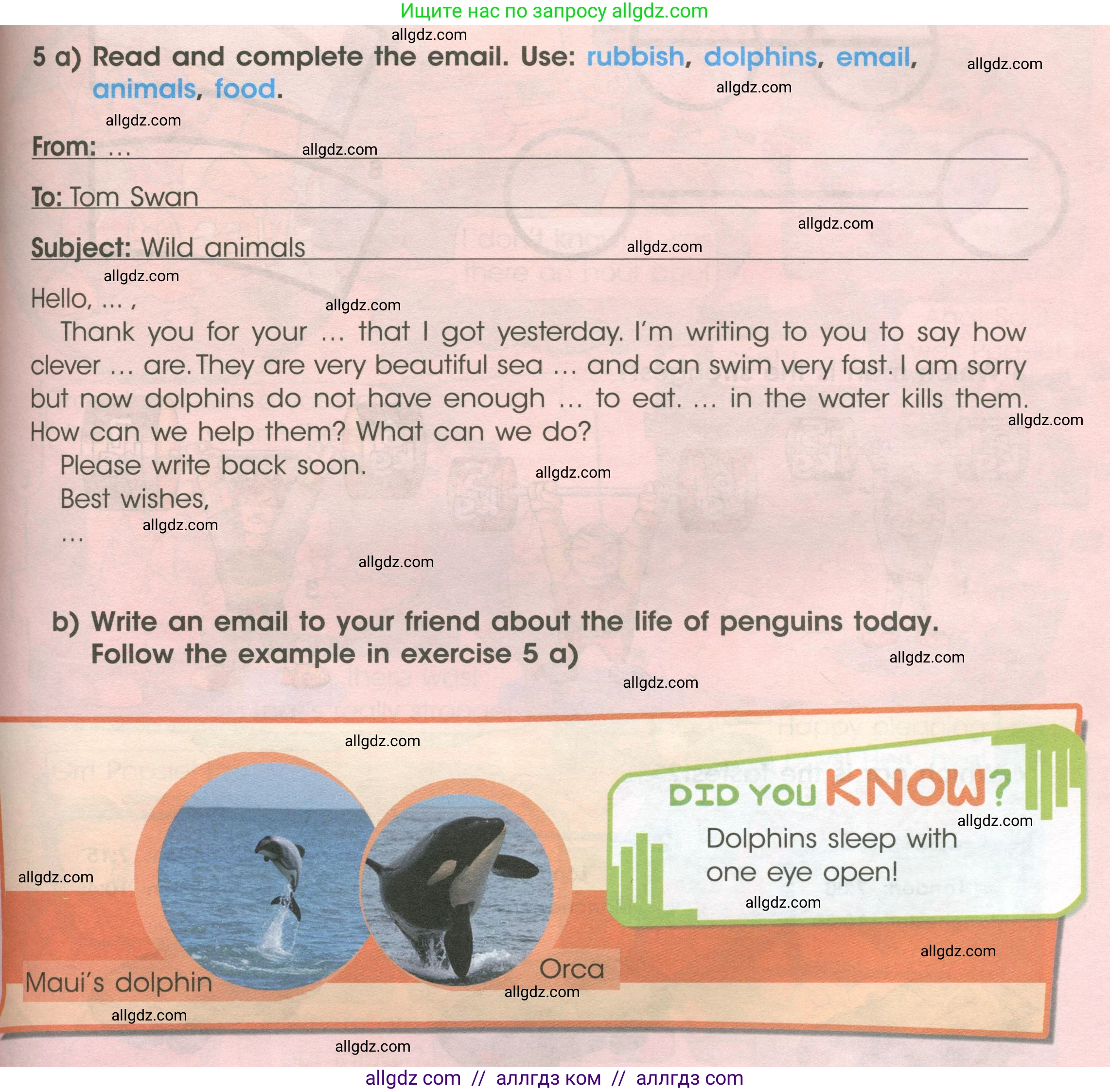 Английский язык (english), 4 класс Учебник (Student's book), авторы: Баранова Ксения Михайловна (Baranova Ksenia), Дули Дженни (Dooley Jenny), Копылова Виктория Викторовна (Kopylova Victoria), Мильруд Радислав Петрович (Millrood Radislav), Эванс Вирджиния (Evans Virginia), издательство Просвещение, Москва, 2023, розового цвета, Часть ( Part) 1, страница 113, номер 5, Условие