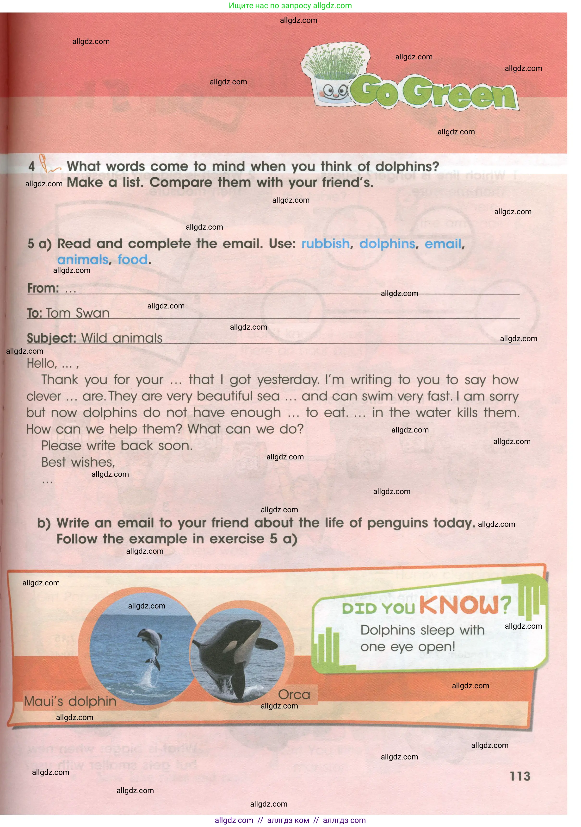 Английский язык (english), 4 класс Учебник (Student's book), авторы: Баранова Ксения Михайловна (Baranova Ksenia), Дули Дженни (Dooley Jenny), Копылова Виктория Викторовна (Kopylova Victoria), Мильруд Радислав Петрович (Millrood Radislav), Эванс Вирджиния (Evans Virginia), издательство Просвещение, Москва, 2023, розового цвета, Часть ( Part) 1, страница 113