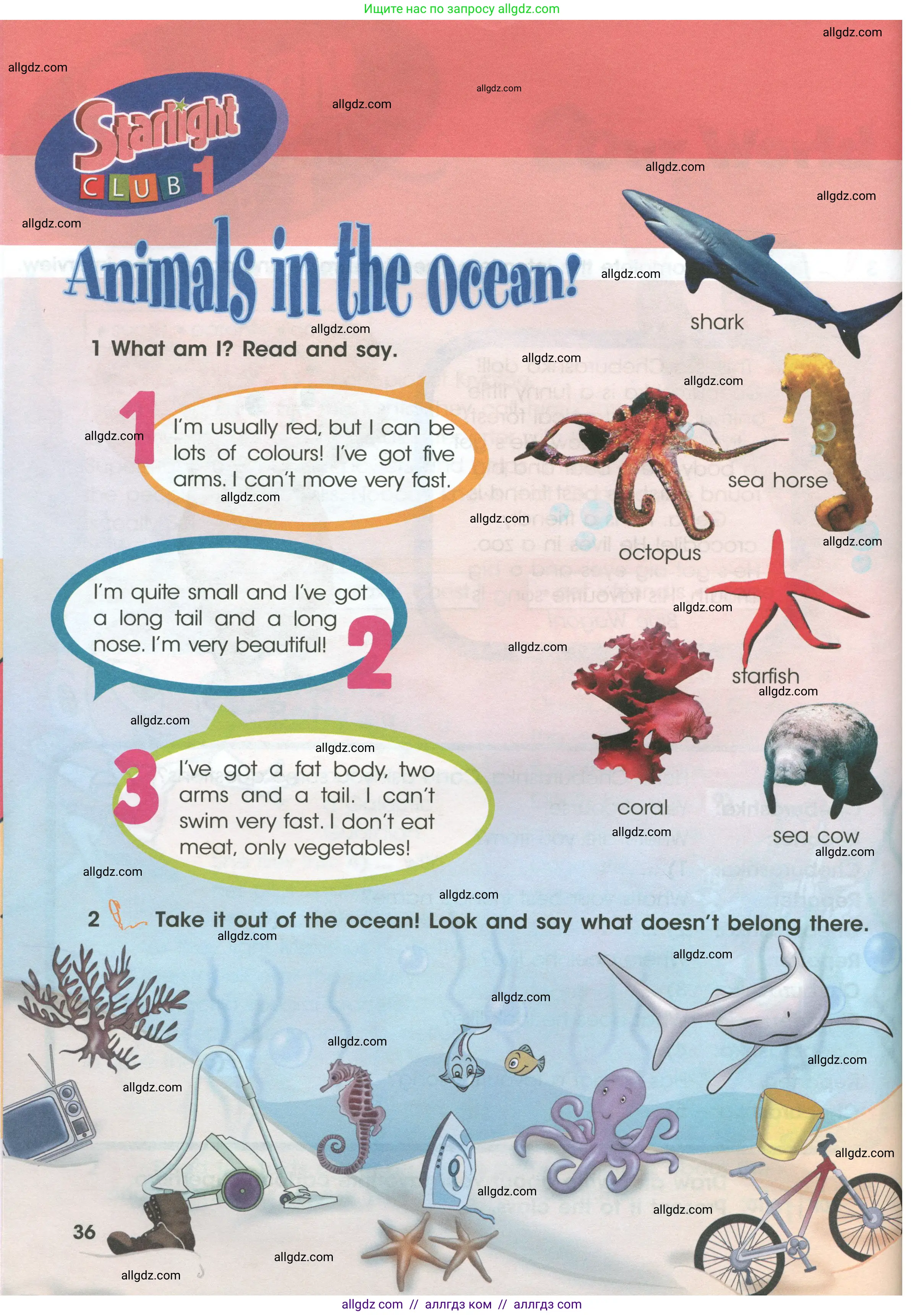 Английский язык (english), 4 класс Учебник (Student's book), авторы: Баранова Ксения Михайловна (Baranova Ksenia), Дули Дженни (Dooley Jenny), Копылова Виктория Викторовна (Kopylova Victoria), Мильруд Радислав Петрович (Millrood Radislav), Эванс Вирджиния (Evans Virginia), издательство Просвещение, Москва, 2023, розового цвета, Часть ( Part) 1, страница 36