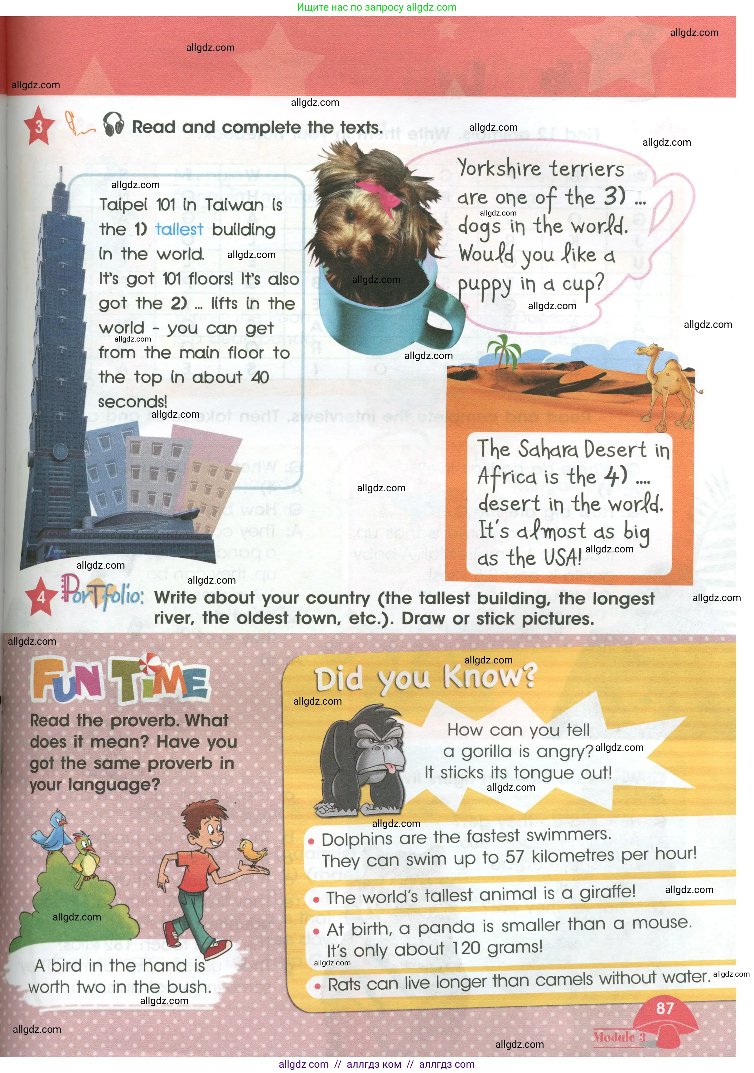 Английский язык (english), 4 класс Учебник (Student's book), авторы: Баранова Ксения Михайловна (Baranova Ksenia), Дули Дженни (Dooley Jenny), Копылова Виктория Викторовна (Kopylova Victoria), Мильруд Радислав Петрович (Millrood Radislav), Эванс Вирджиния (Evans Virginia), издательство Просвещение, Москва, 2023, розового цвета, Часть ( Part) 1, страница 87