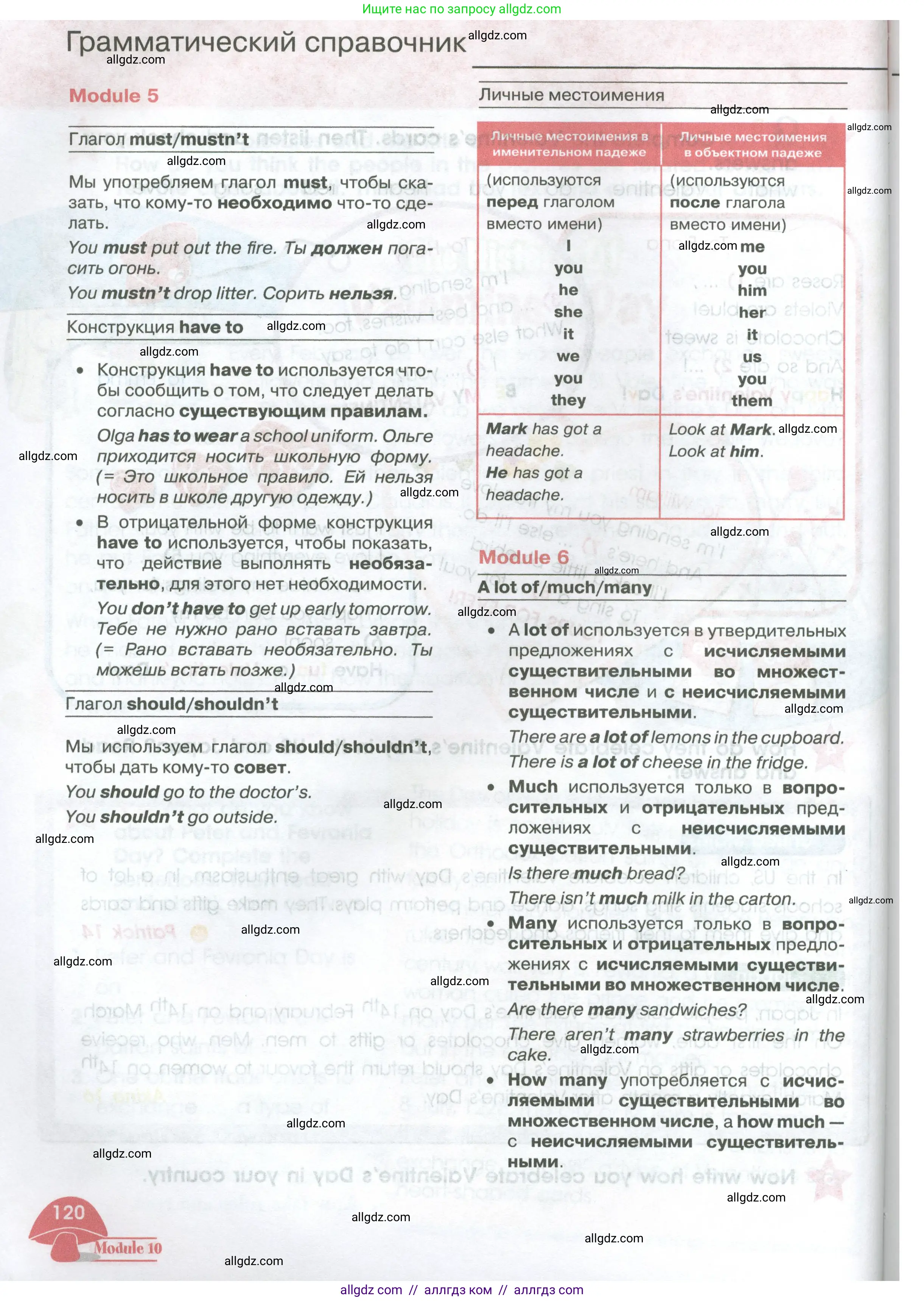 Английский язык (english), 4 класс Учебник (Student's book), авторы: Баранова Ксения Михайловна (Baranova Ksenia), Дули Дженни (Dooley Jenny), Копылова Виктория Викторовна (Kopylova Victoria), Мильруд Радислав Петрович (Millrood Radislav), Эванс Вирджиния (Evans Virginia), издательство Просвещение, Москва, 2023, розового цвета, страница 120