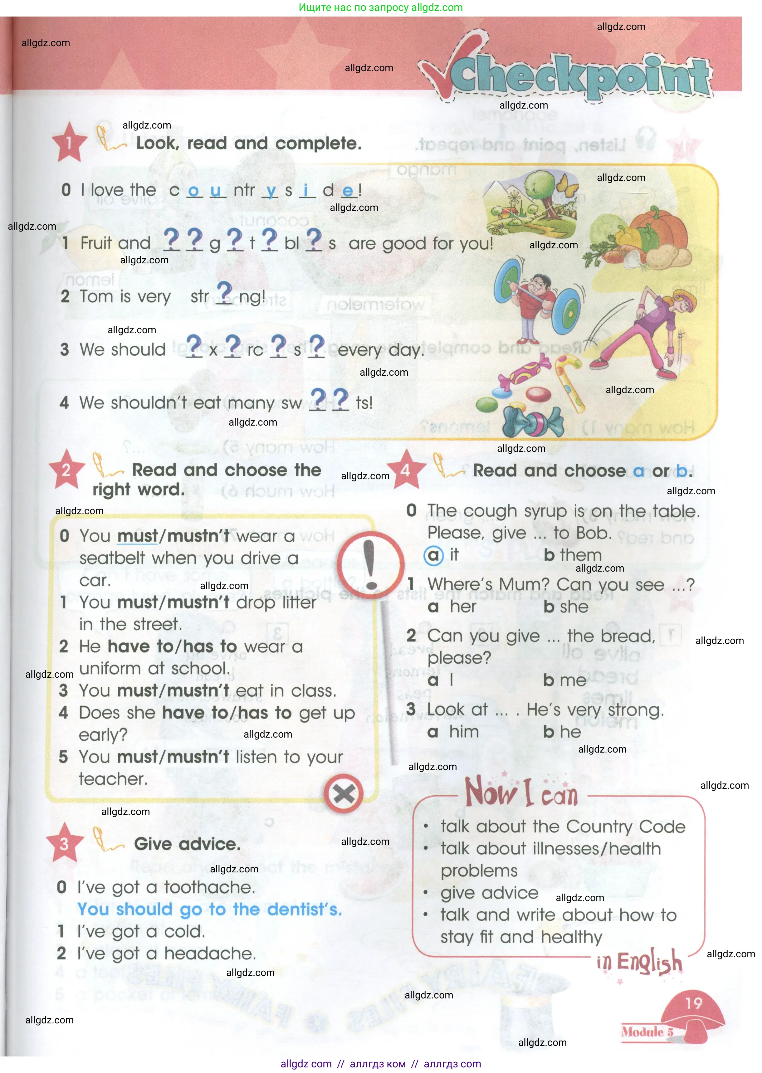 Английский язык (english), 4 класс Учебник (Student's book), авторы: Баранова Ксения Михайловна (Baranova Ksenia), Дули Дженни (Dooley Jenny), Копылова Виктория Викторовна (Kopylova Victoria), Мильруд Радислав Петрович (Millrood Radislav), Эванс Вирджиния (Evans Virginia), издательство Просвещение, Москва, 2023, розового цвета, Часть ( Part) 2, страница 19