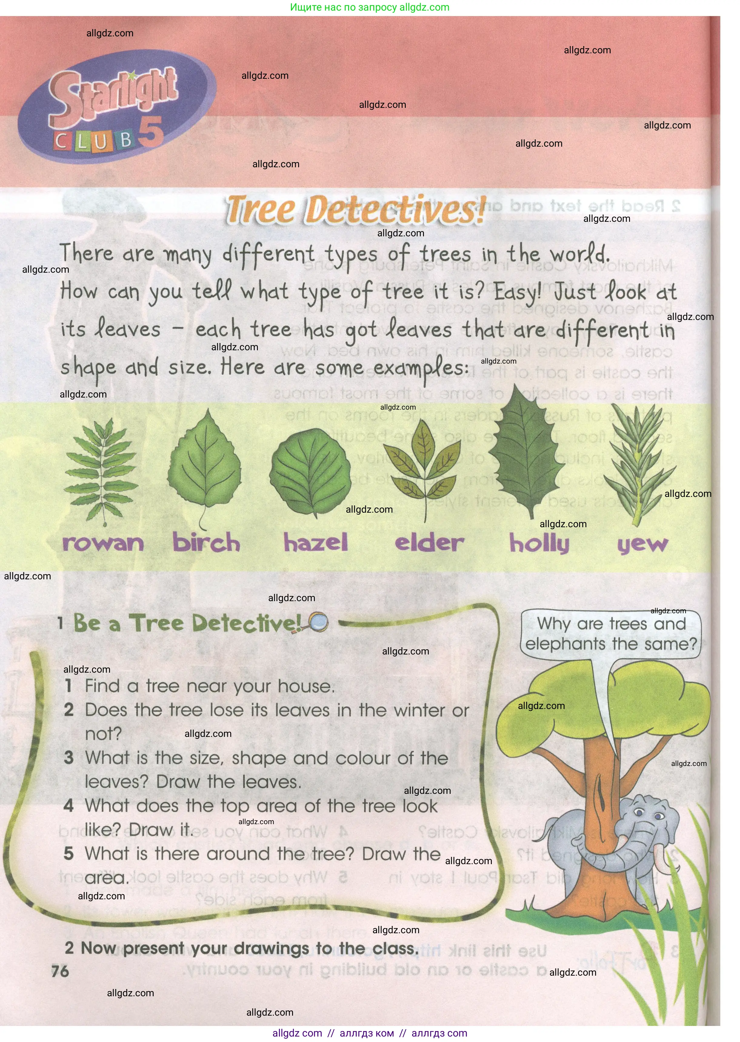 Английский язык (english), 4 класс Учебник (Student's book), авторы: Баранова Ксения Михайловна (Baranova Ksenia), Дули Дженни (Dooley Jenny), Копылова Виктория Викторовна (Kopylova Victoria), Мильруд Радислав Петрович (Millrood Radislav), Эванс Вирджиния (Evans Virginia), издательство Просвещение, Москва, 2023, розового цвета, Часть ( Part) 2, страница 76