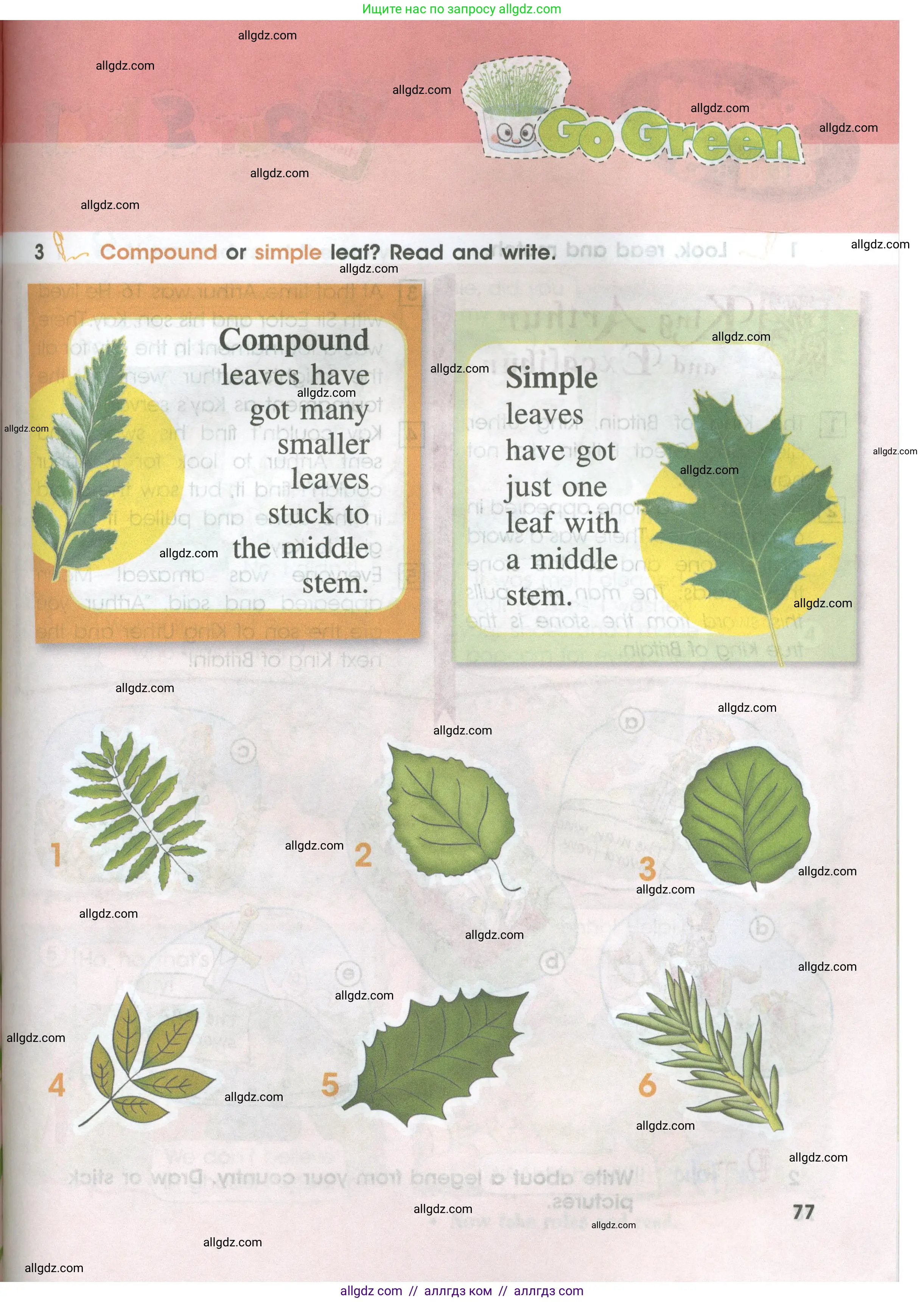 Английский язык (english), 4 класс Учебник (Student's book), авторы: Баранова Ксения Михайловна (Baranova Ksenia), Дули Дженни (Dooley Jenny), Копылова Виктория Викторовна (Kopylova Victoria), Мильруд Радислав Петрович (Millrood Radislav), Эванс Вирджиния (Evans Virginia), издательство Просвещение, Москва, 2023, розового цвета, Часть ( Part) 2, страница 77