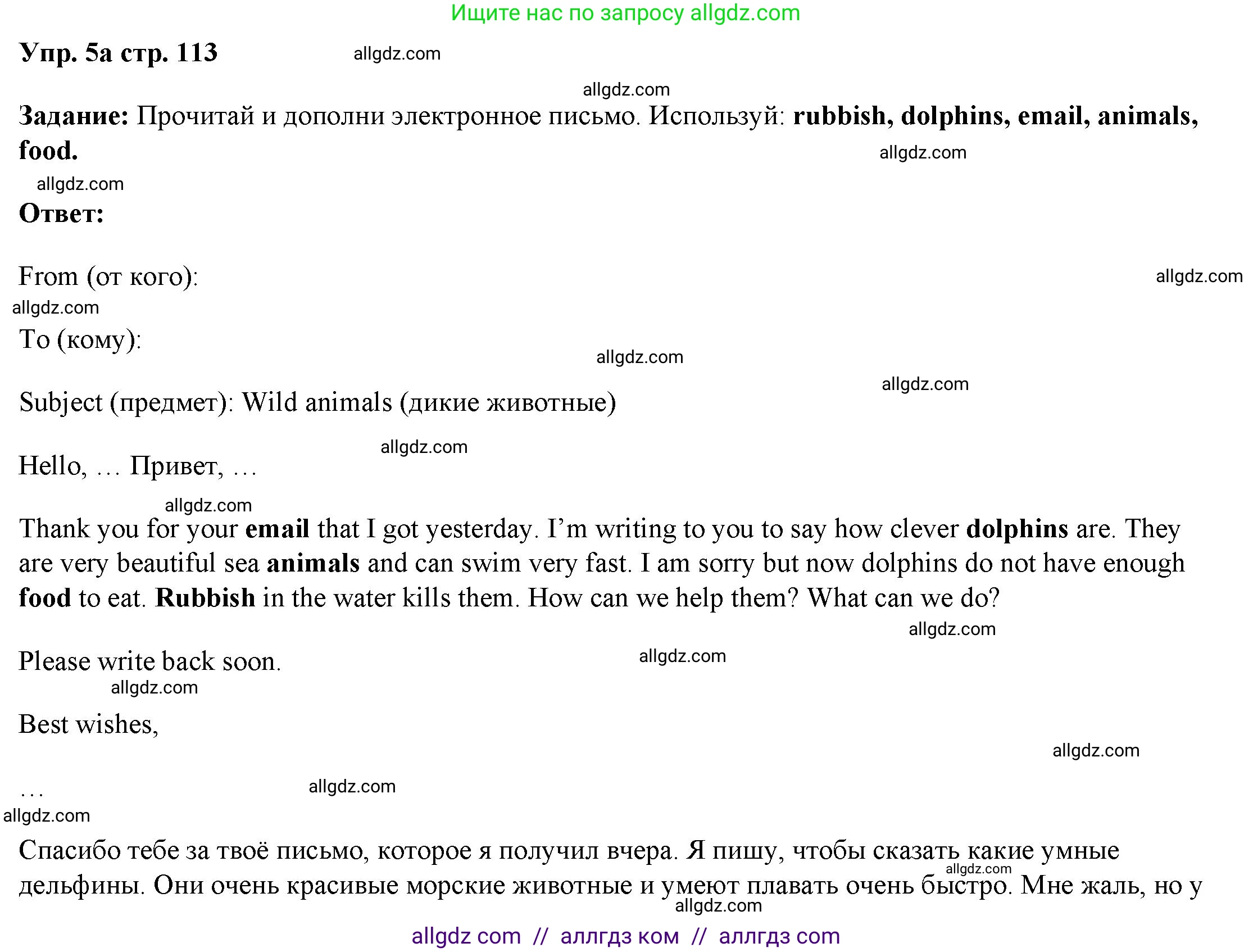 Английский язык (english), 4 класс Учебник (Student's book), авторы: Баранова Ксения Михайловна (Baranova Ksenia), Дули Дженни (Dooley Jenny), Копылова Виктория Викторовна (Kopylova Victoria), Мильруд Радислав Петрович (Millrood Radislav), Эванс Вирджиния (Evans Virginia), издательство Просвещение, Москва, 2023, розового цвета, Часть ( Part) 1, страница 113, номер 5, Решение