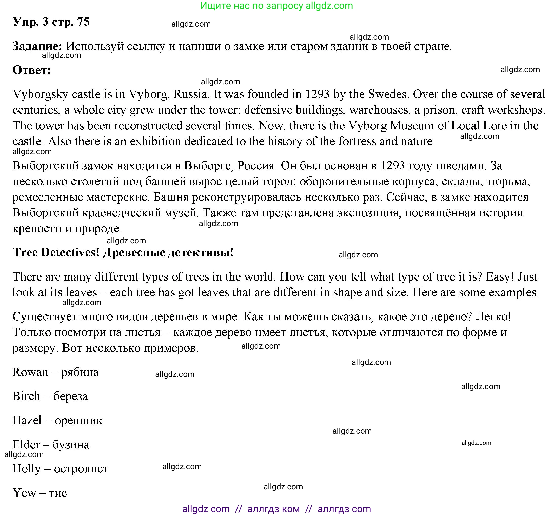 Английский язык (english), 4 класс Учебник (Student's book), авторы: Баранова Ксения Михайловна (Baranova Ksenia), Дули Дженни (Dooley Jenny), Копылова Виктория Викторовна (Kopylova Victoria), Мильруд Радислав Петрович (Millrood Radislav), Эванс Вирджиния (Evans Virginia), издательство Просвещение, Москва, 2023, розового цвета, Часть ( Part) 2, страница 75, номер 3, Решение