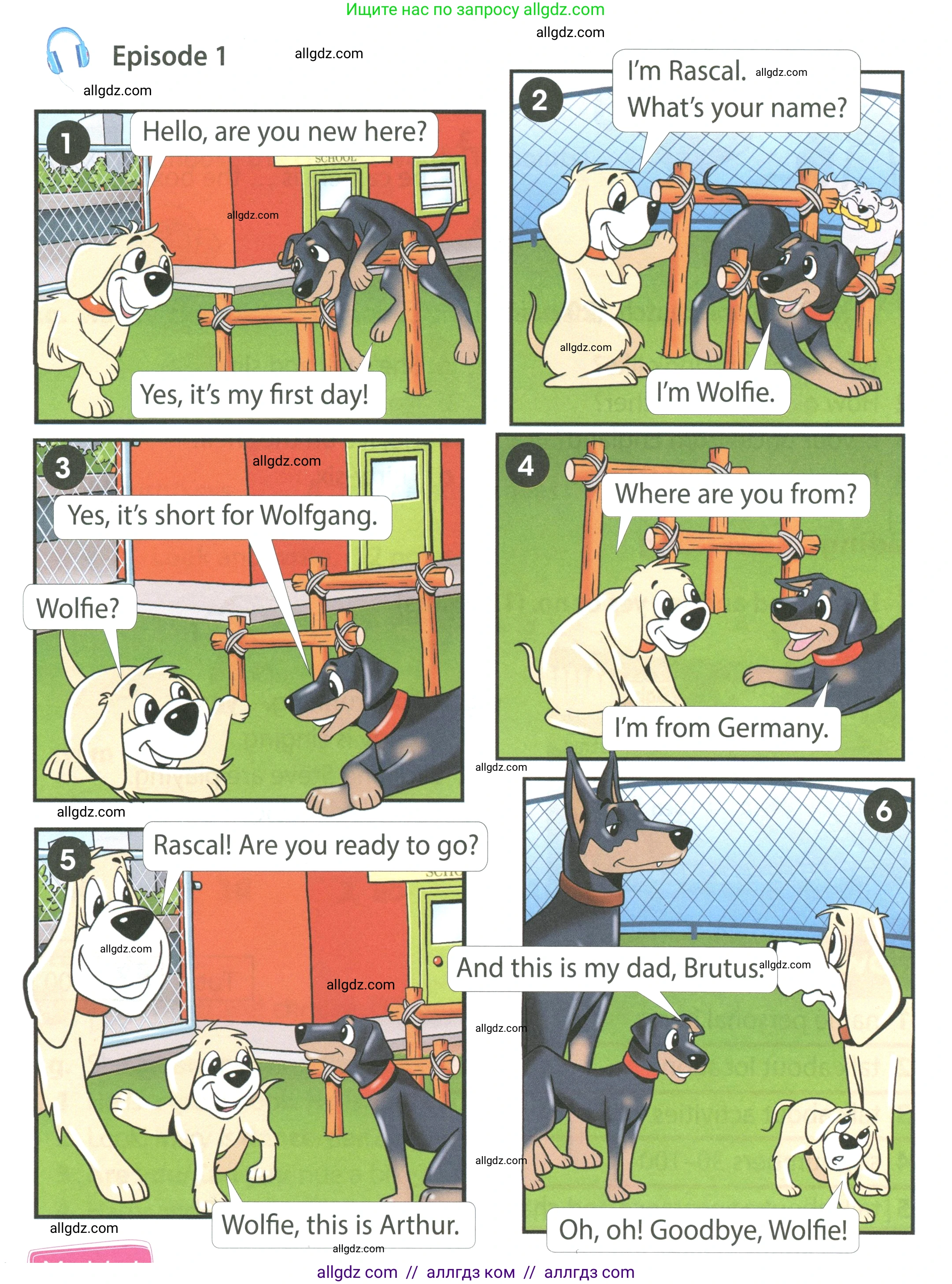 Английский язык (english), 4 класс Учебник (Student's book), авторы: Быкова Надежда Ильинична (Bykova Nadezhda), Дули Дженни (Dooley Jenny), Поспелова Марина Давидовна (Pospelova Marina), Эванс Вирджиния (Evans Virginia), издательство Просвещение, Москва, 2023, белого цвета, Часть ( Part) 1, страница 24, Условие